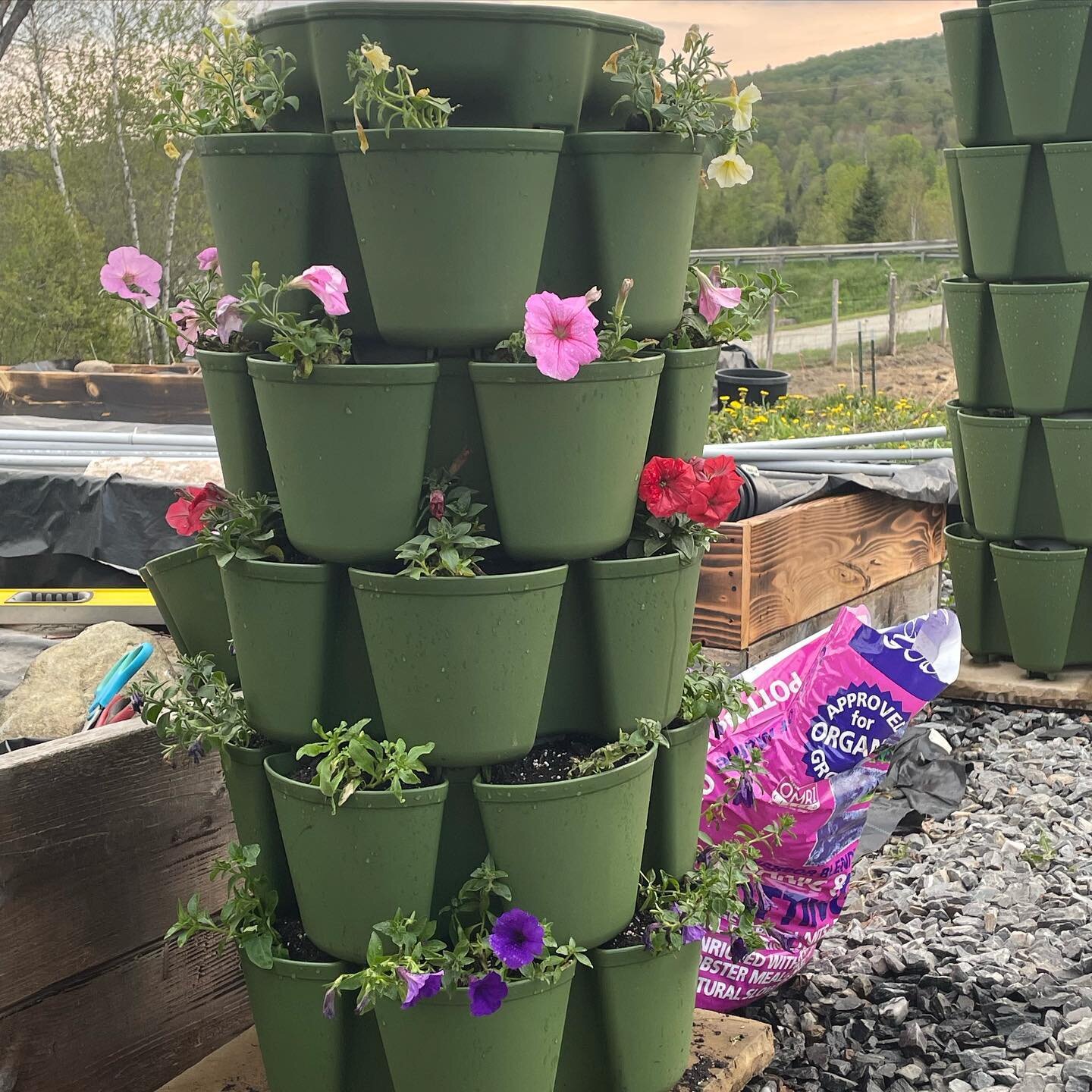 This is going to be full of flowers so! I can’t wait to show it off in a couple months! Got the idea from @coghillfarm I hope mine is just as beautiful as theirs was/is #greenstalkgarden #greenstalk