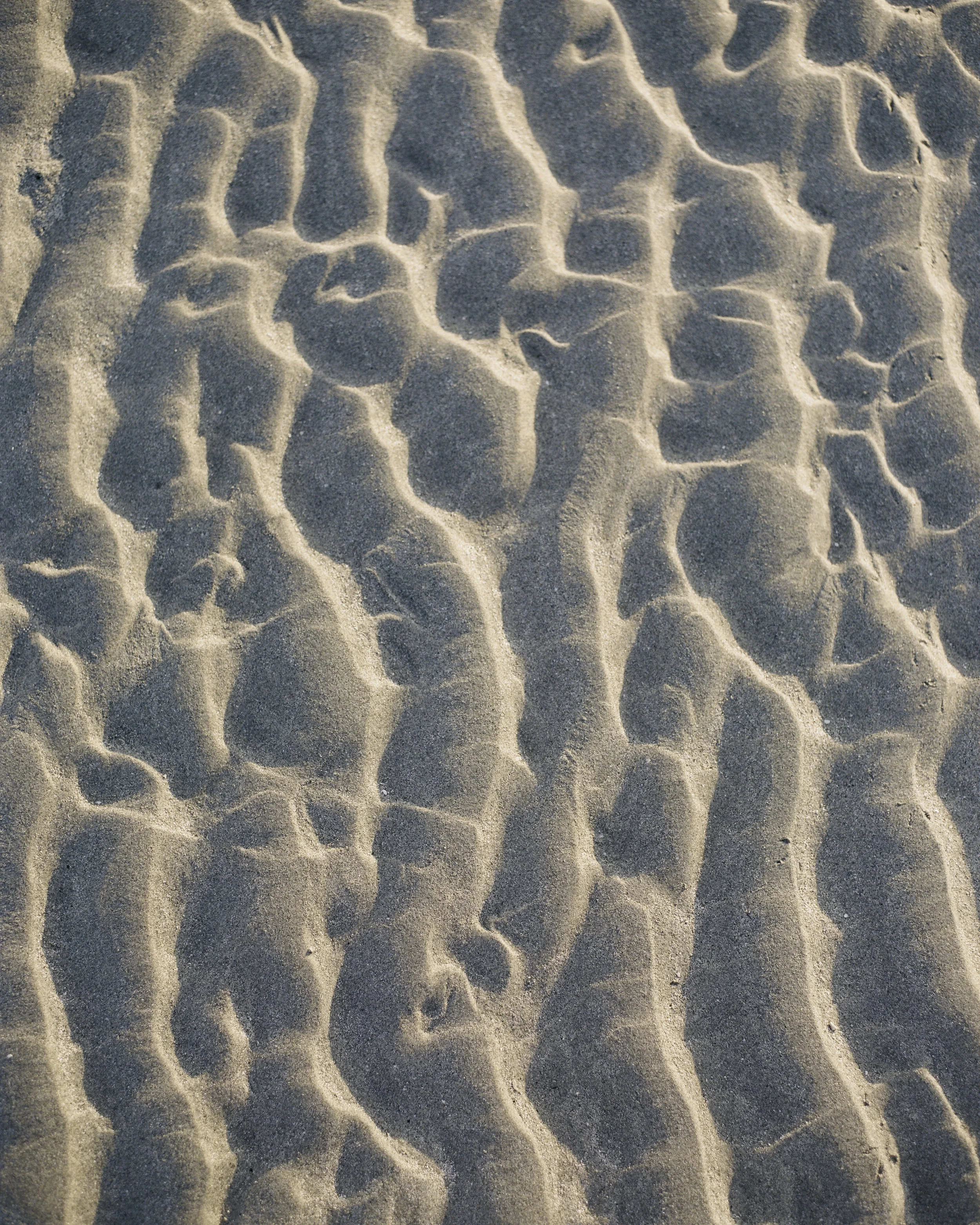 Sand and Surf-9.jpg