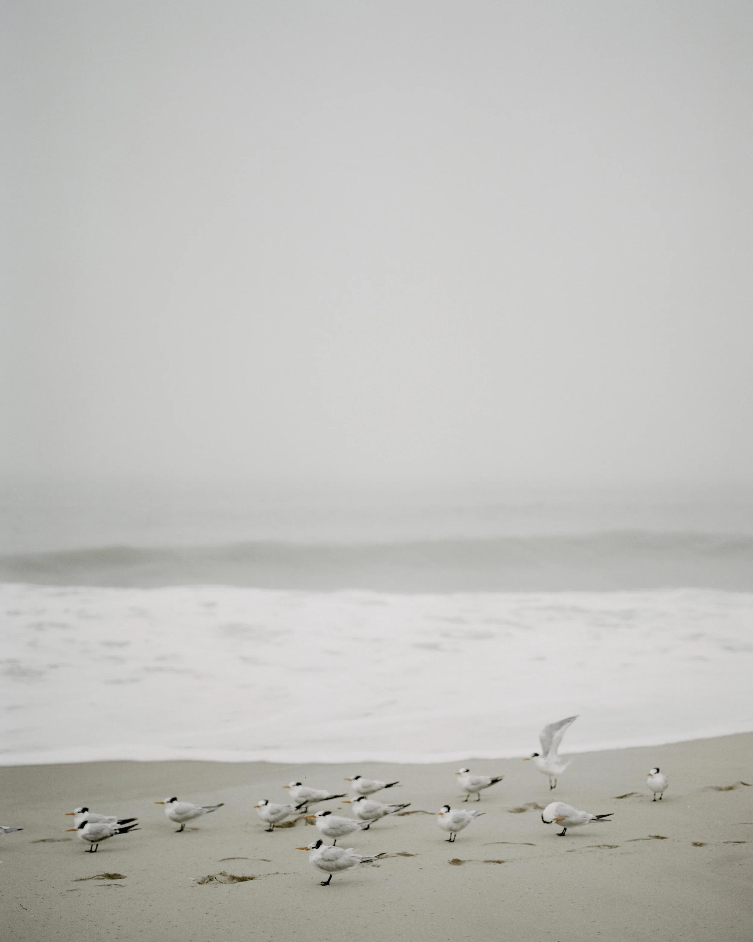 Sand and Surf-10.jpg