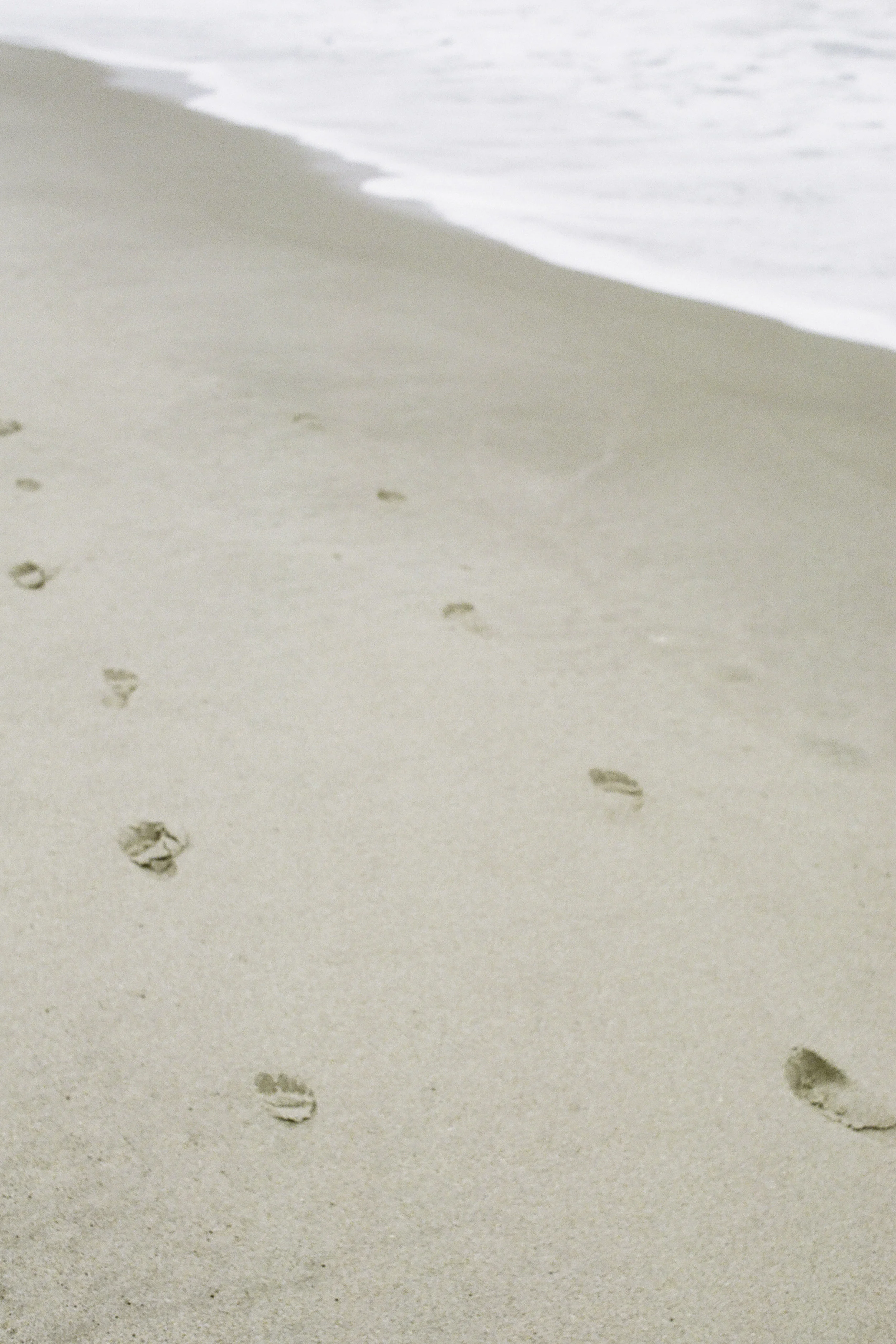 Sand and Surf-14.jpg