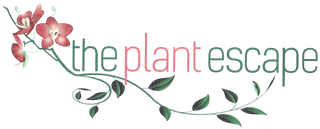 The Plant Escape