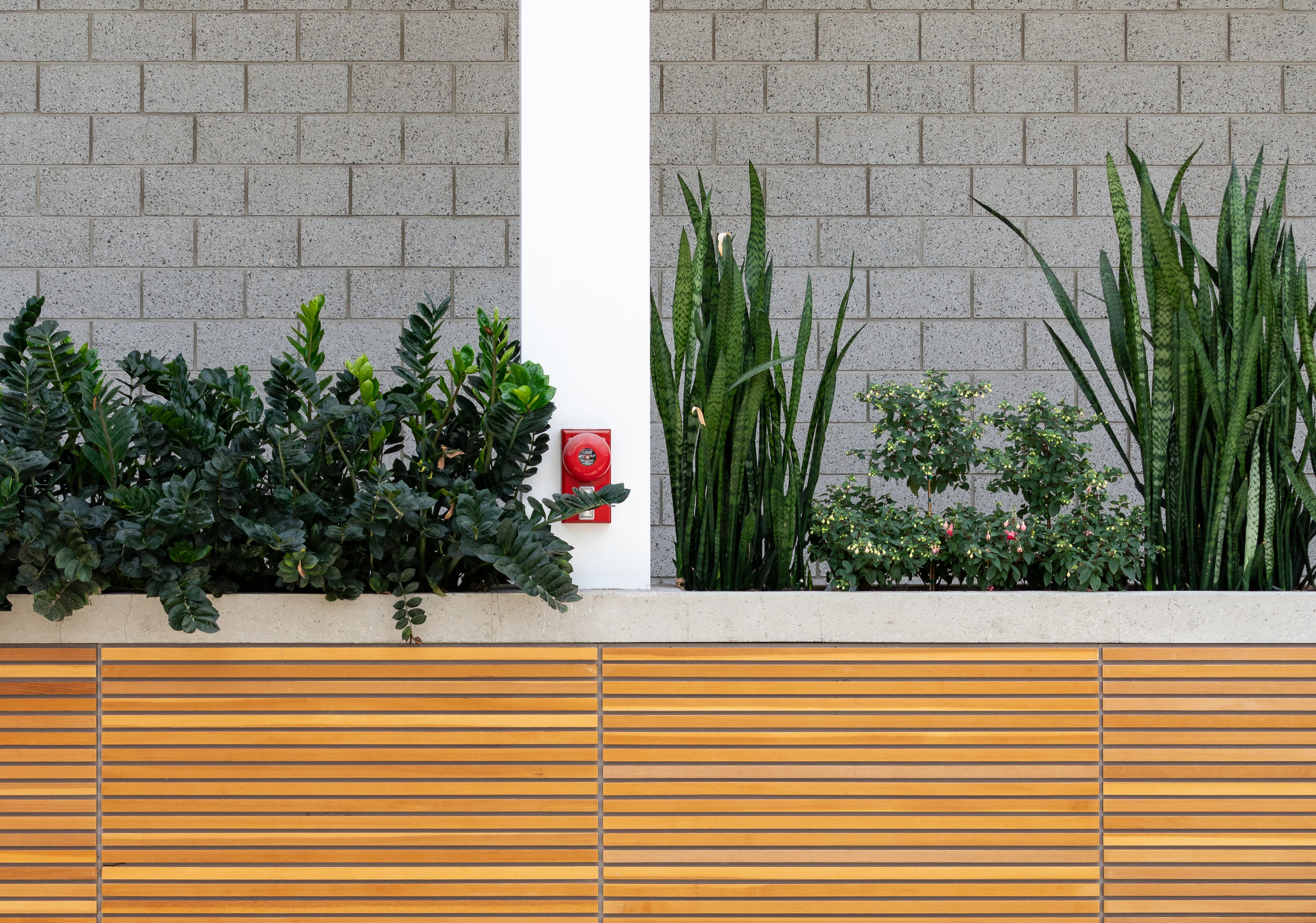 Indoor Plant Maintenance Companies