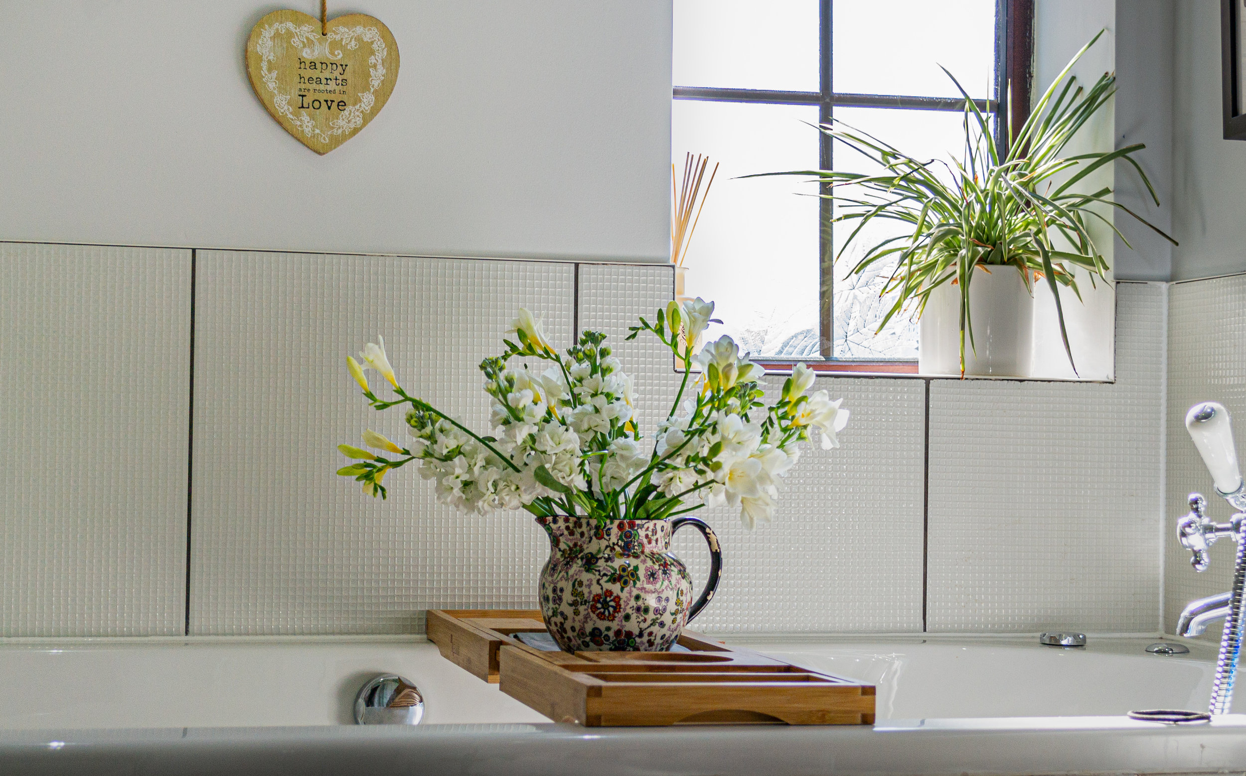 Indoor Plants Are Great for Our Mental Health