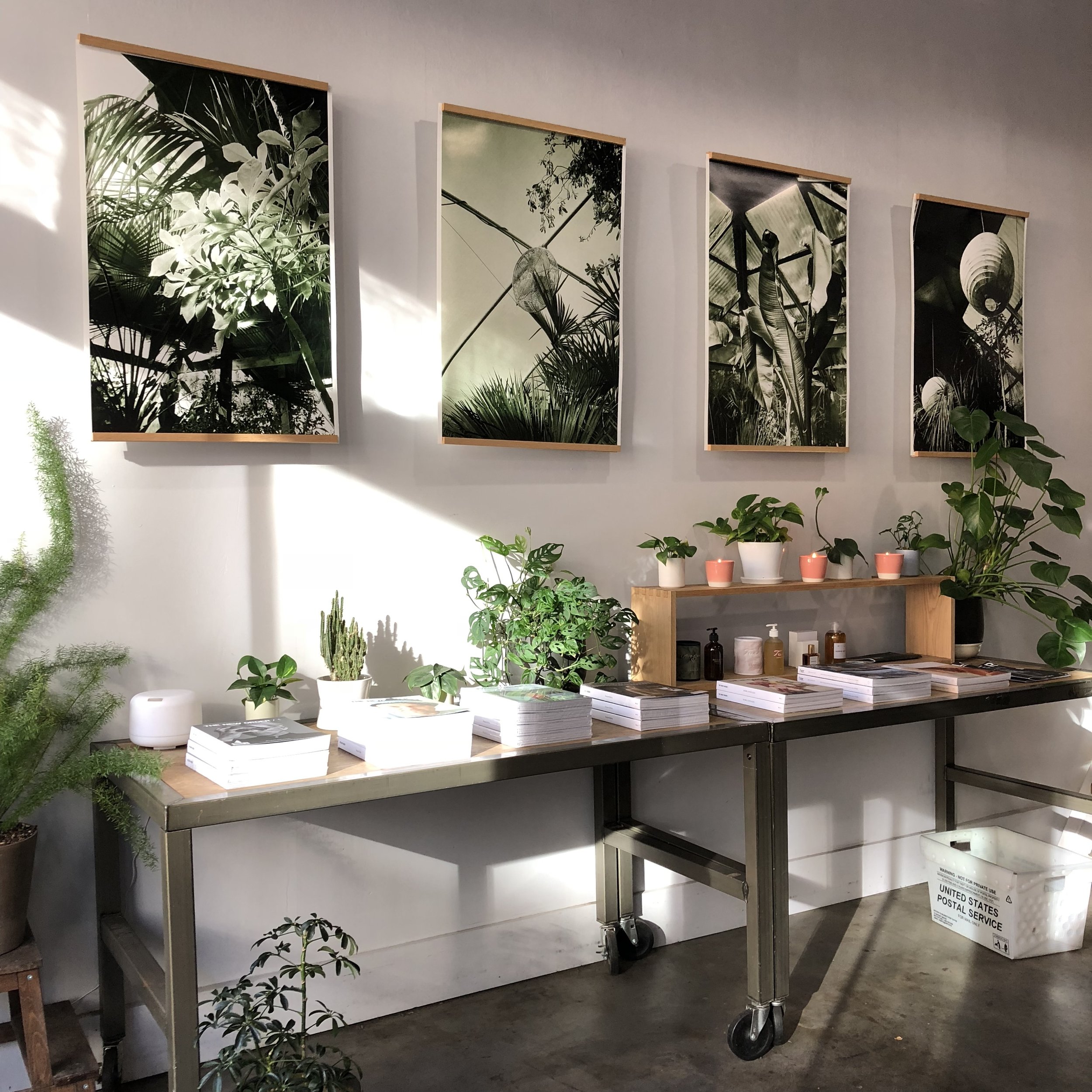 Bay Area Commercial Plant Service 