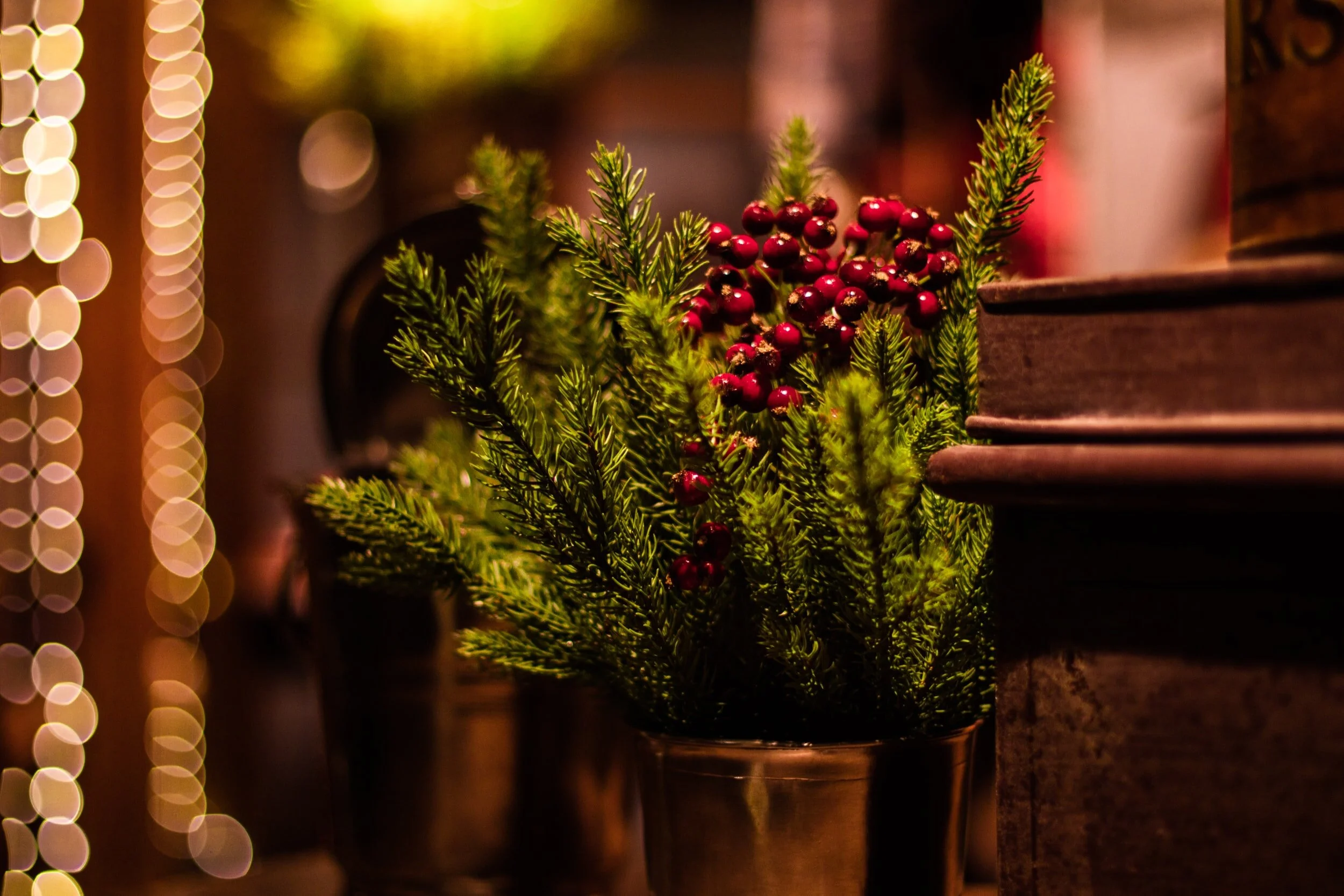 Decorative Plant Service San Francisco