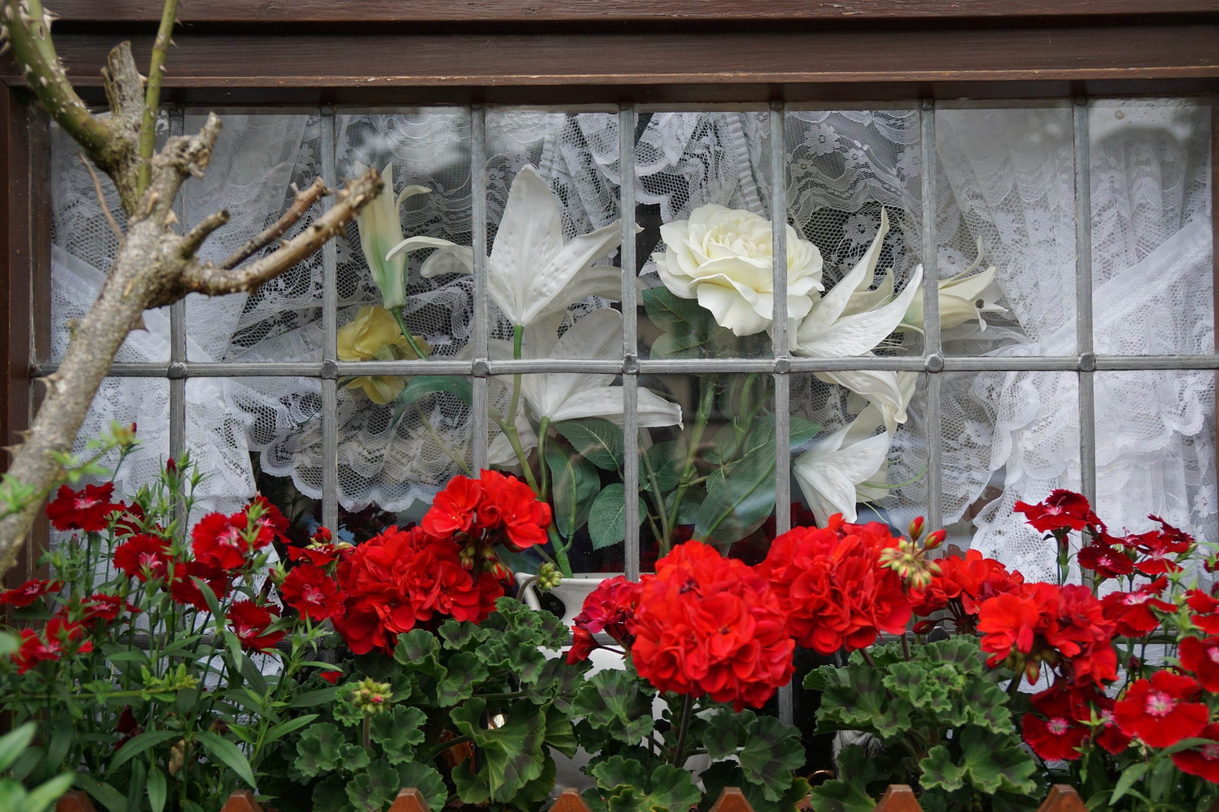 Interior Plantscaping