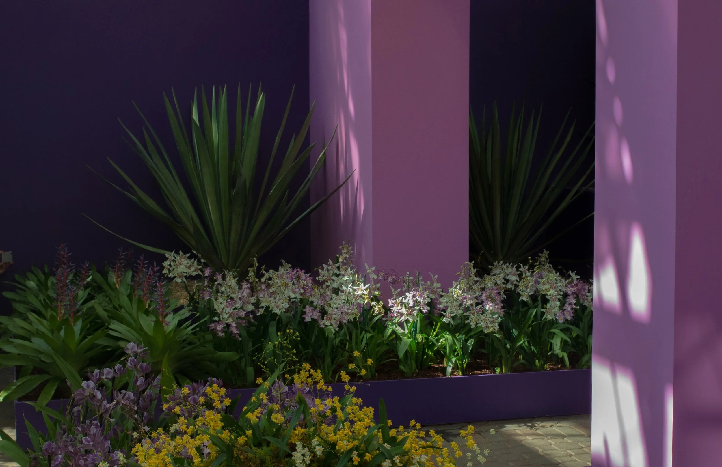 Interior Plant Design Ideas