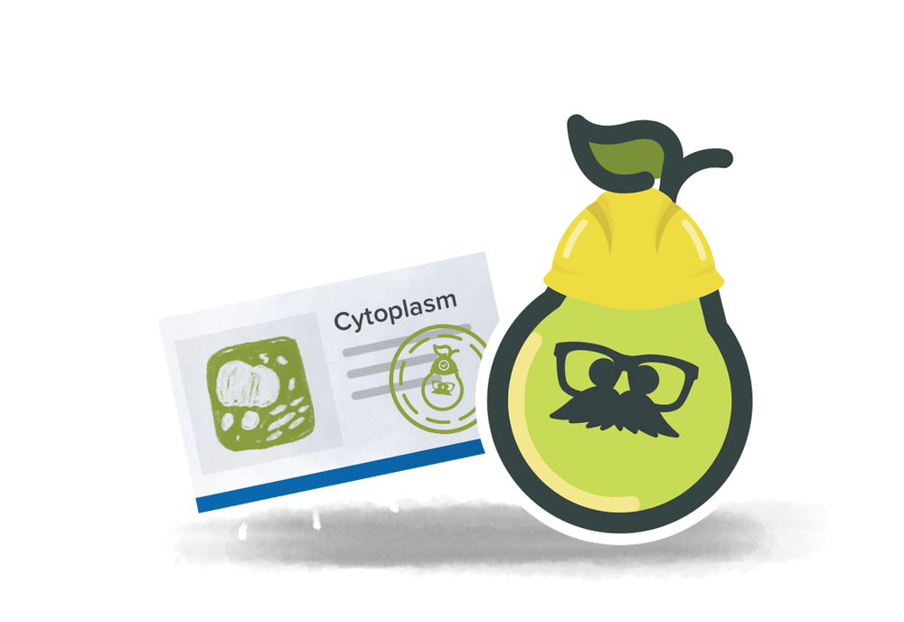 Flashcard Factory Pear Deck Flashcard Factory Pear Deck