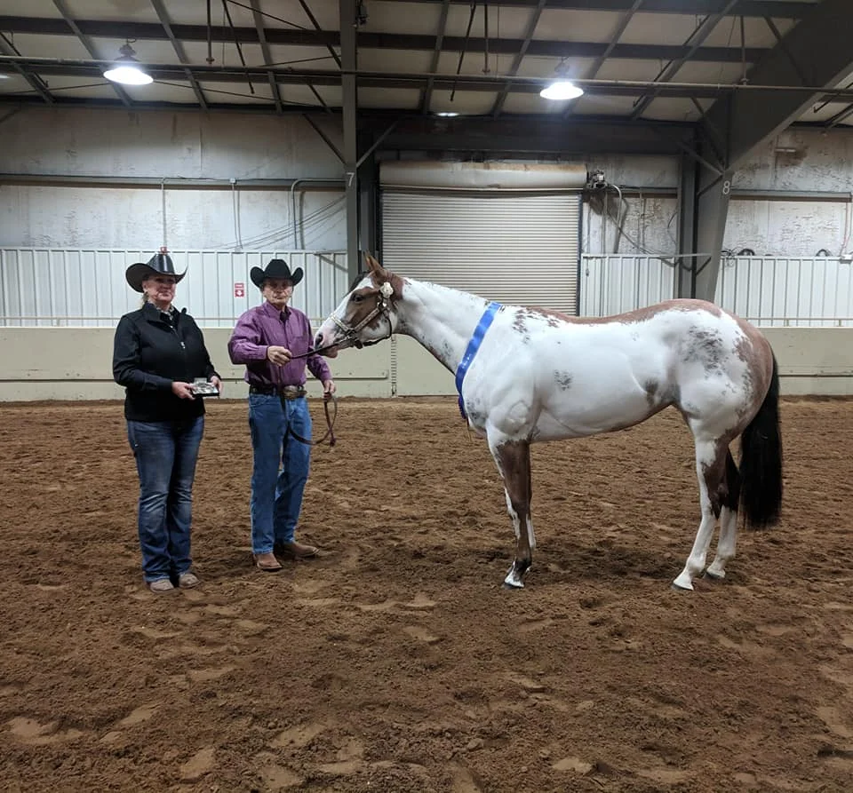 Oklahoma Pinto Horse Association