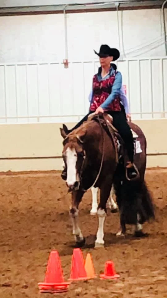 Oklahoma Pinto Horse Association
