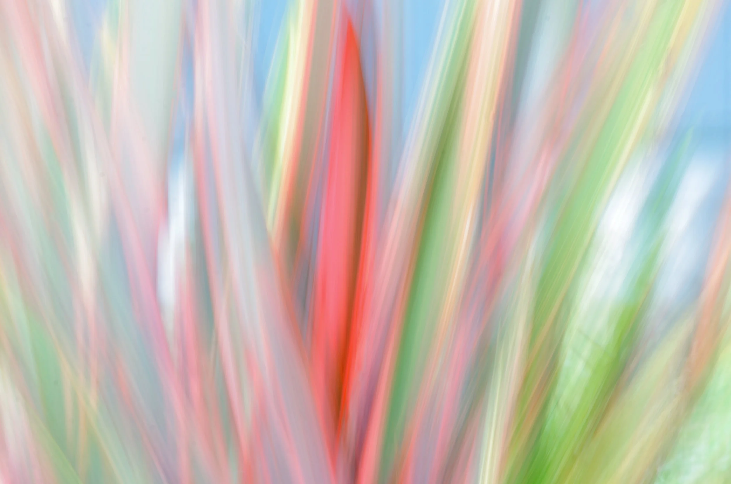 Abstract-Plant.jpg