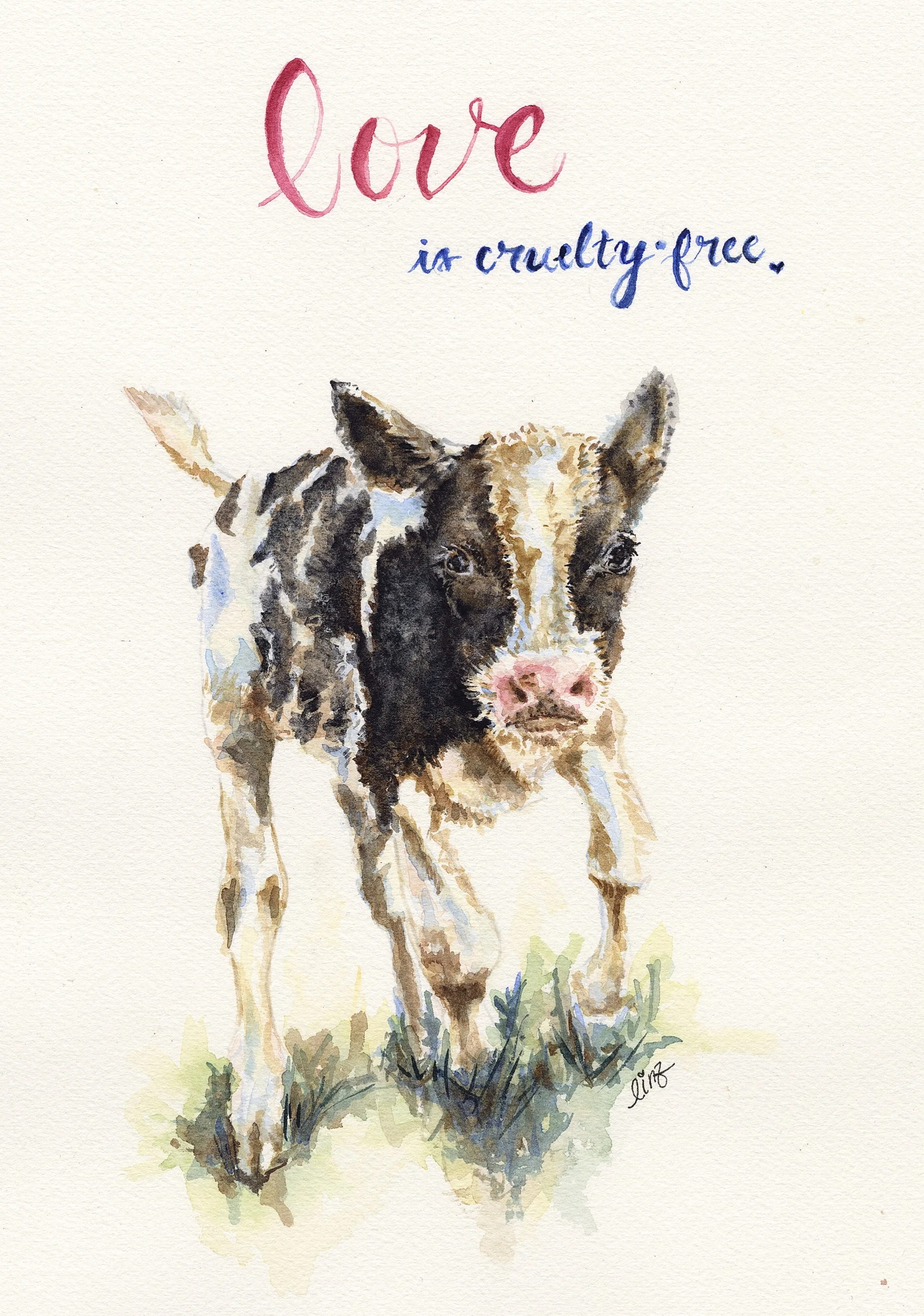Love is Cruelty Free