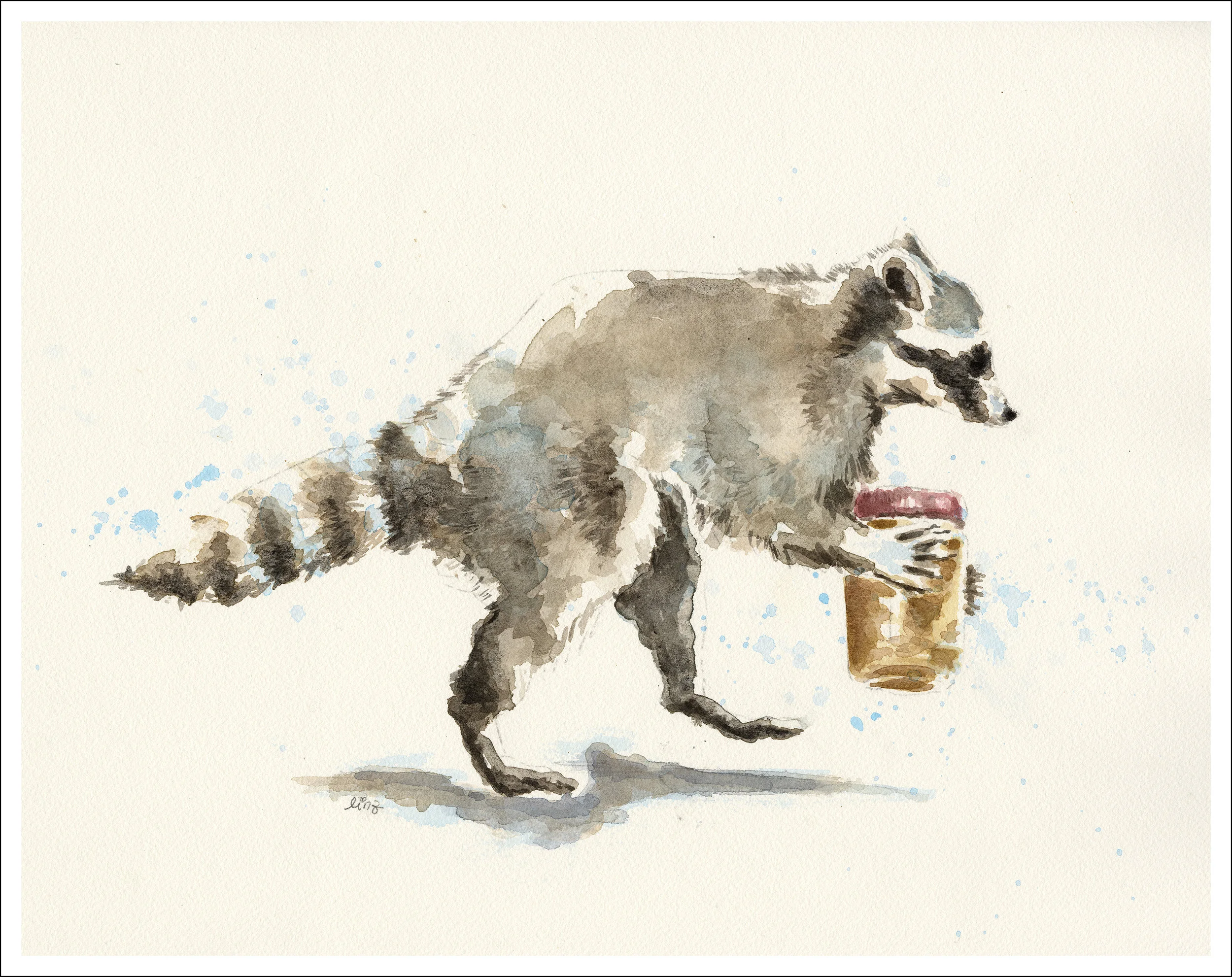 PB Raccoon.jpg