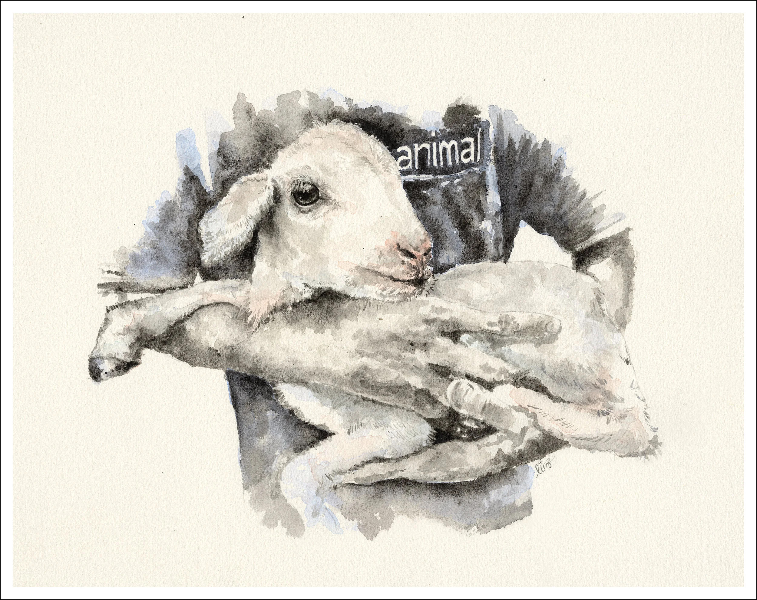 we animals lamb.jpg