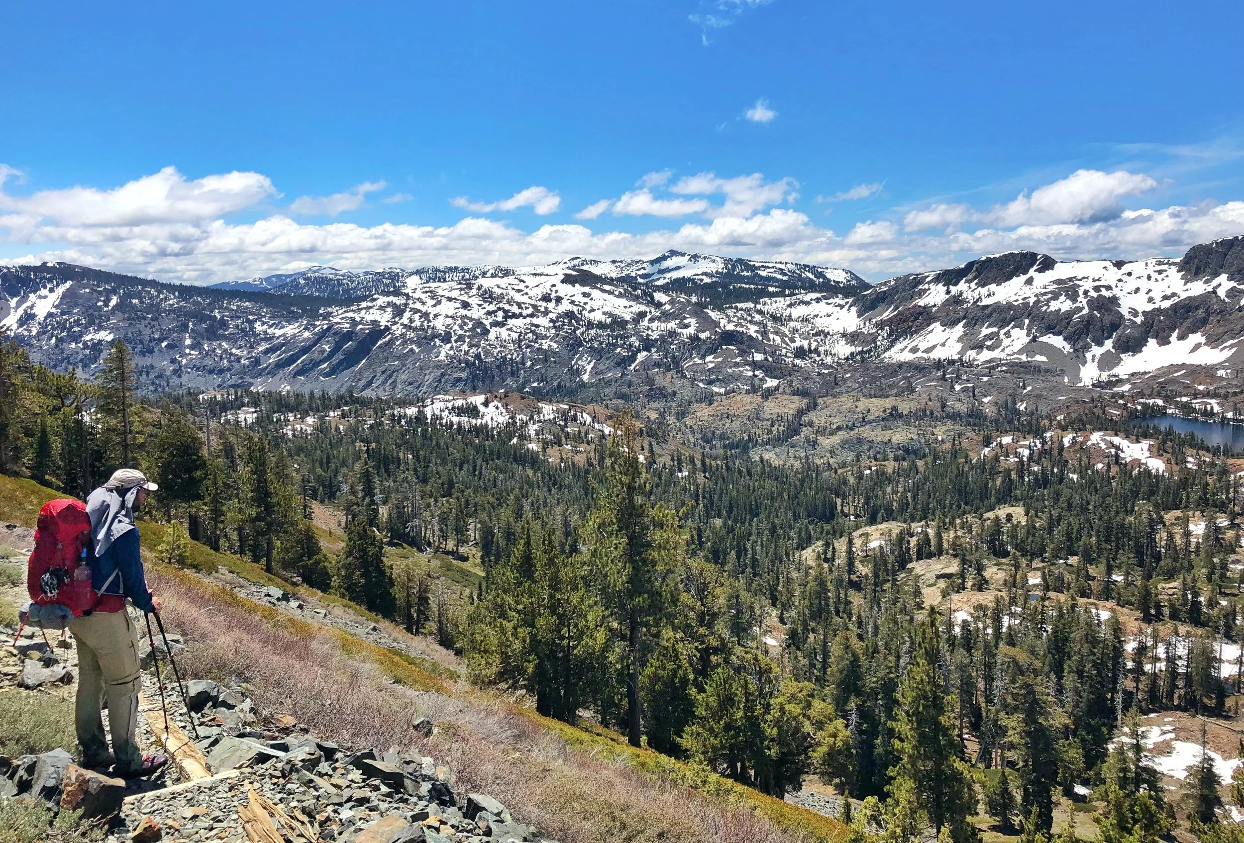 JPEG image-A975D77A2AE7-1.jpeg