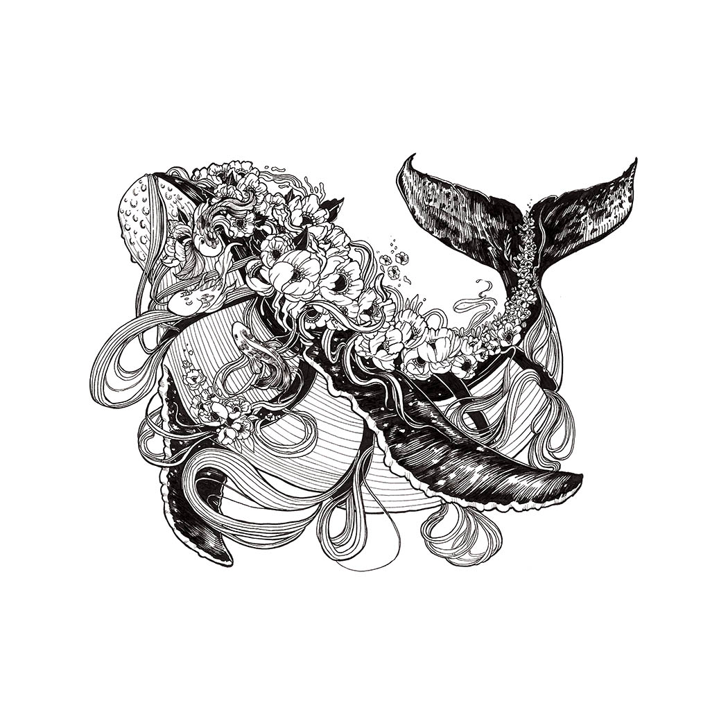 humpback-whale.jpg