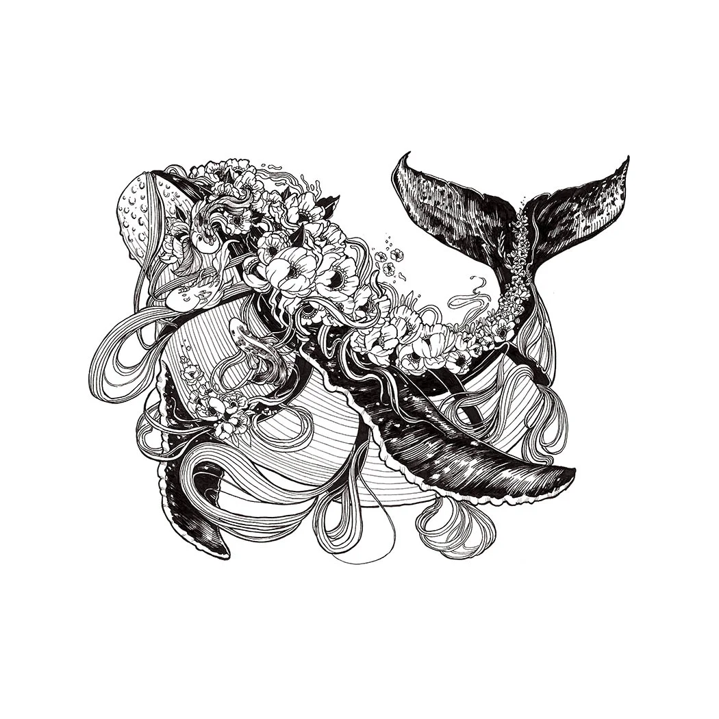humpback-whale.jpg
