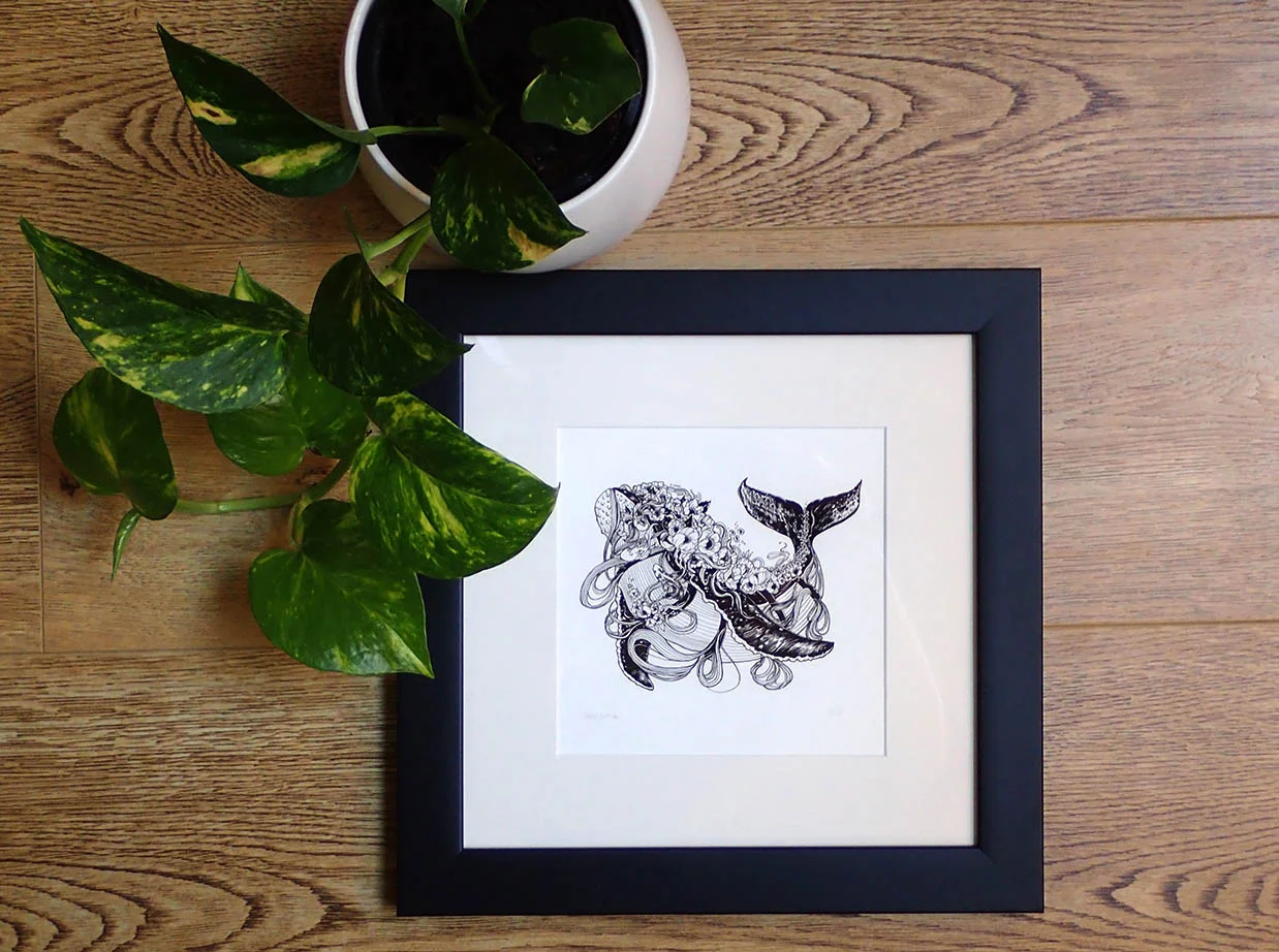humpback-whale-frame.jpg