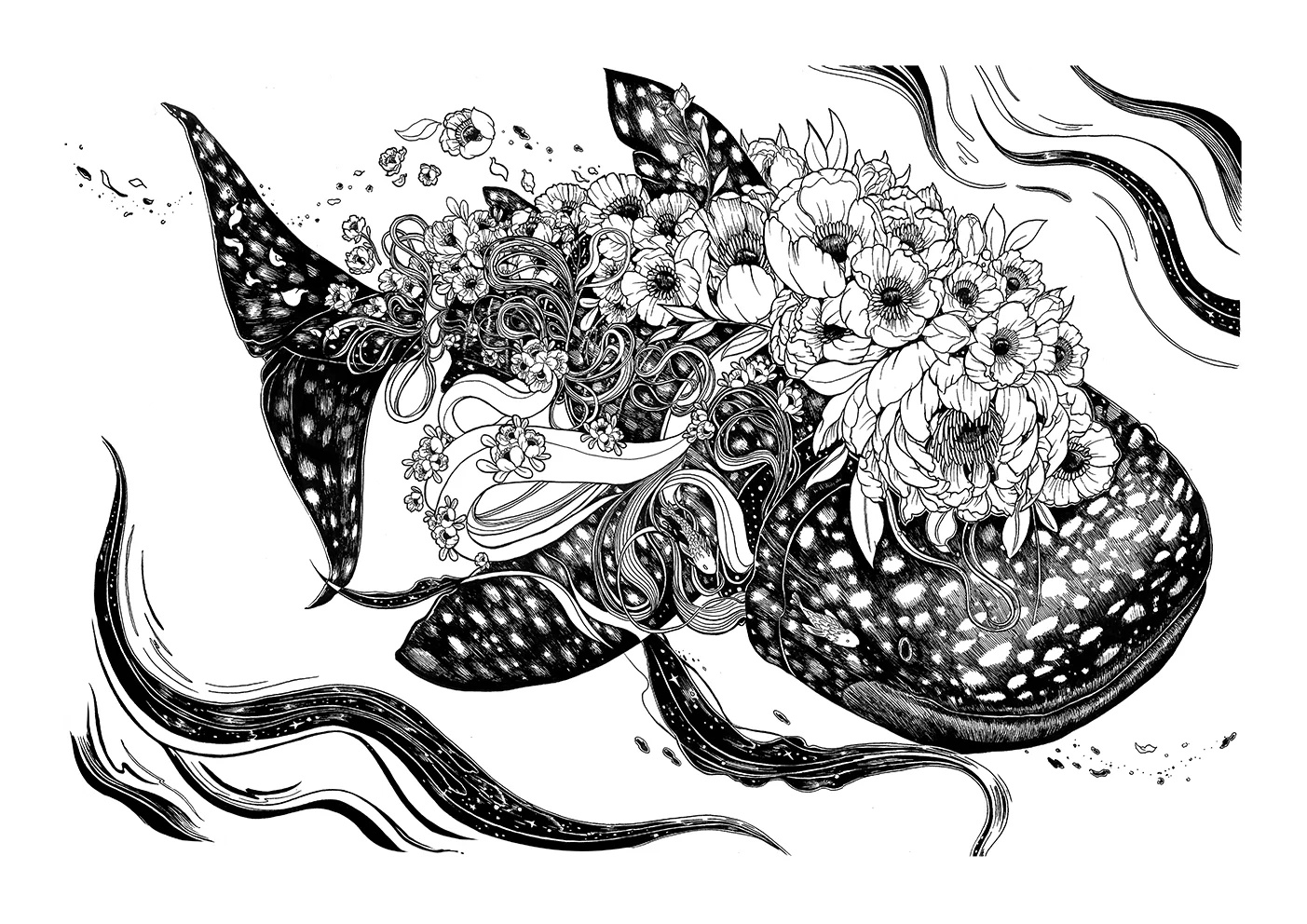 whaleshark-display.jpg