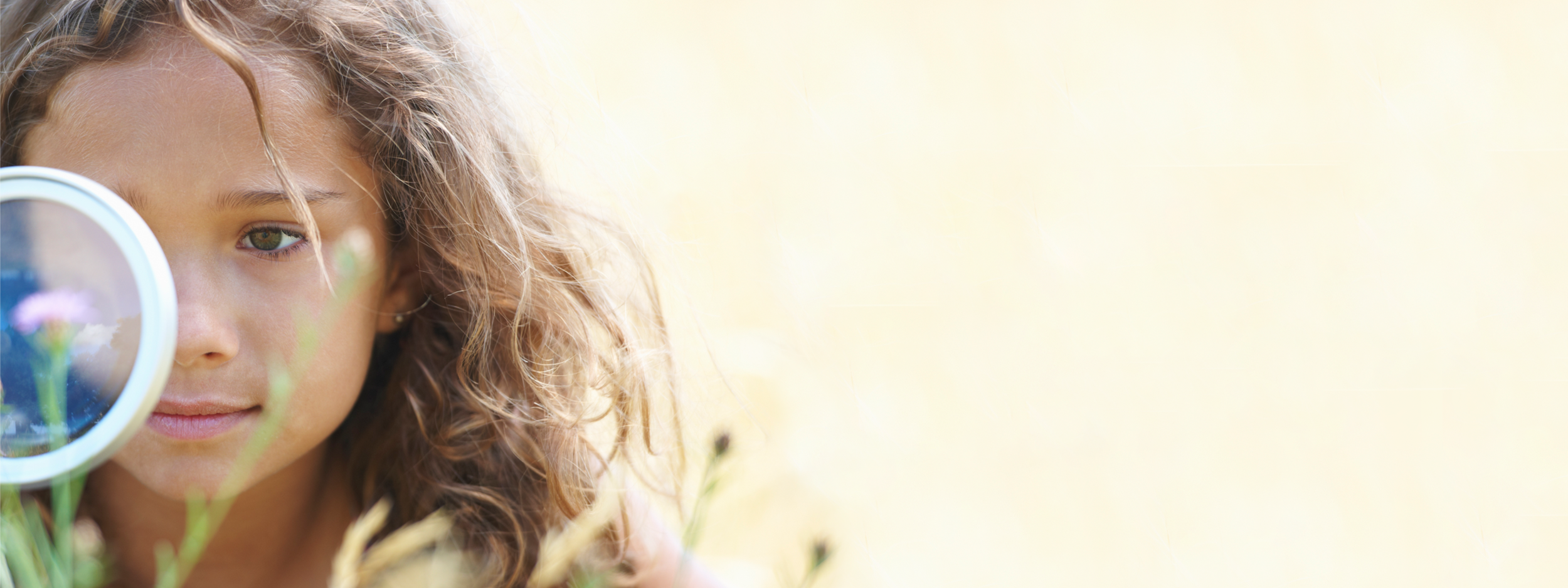 banner_home5.png