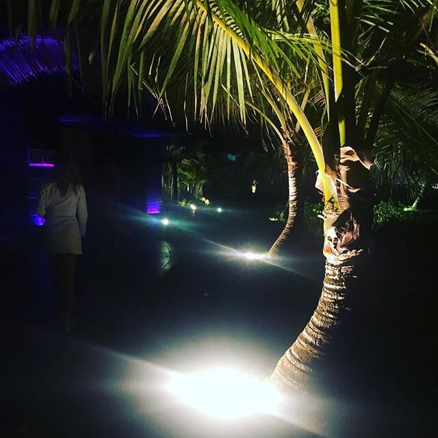 This time last year. #travel #views #dr #palmtrees #resorts
