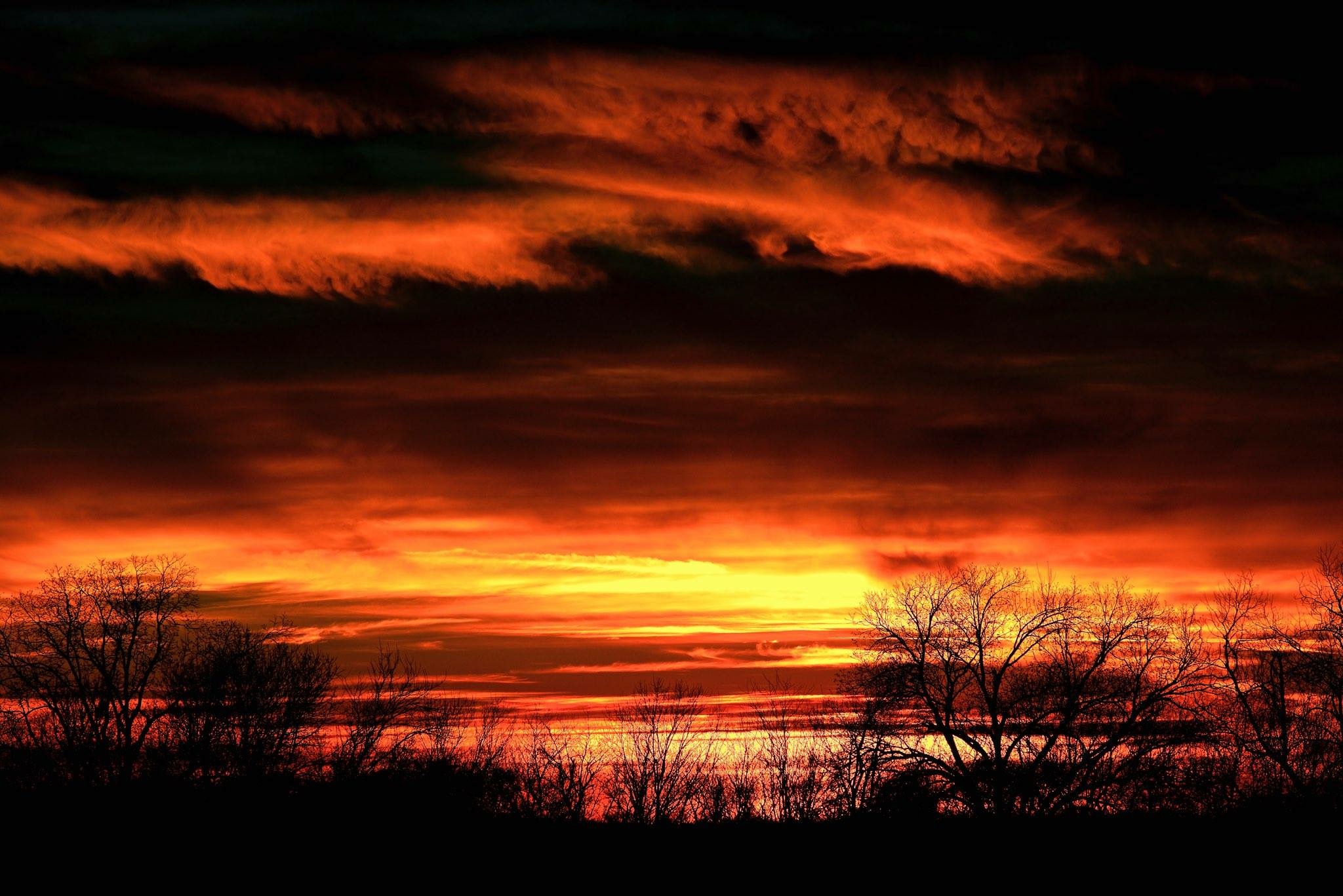 photo courtesy of Rick Parent