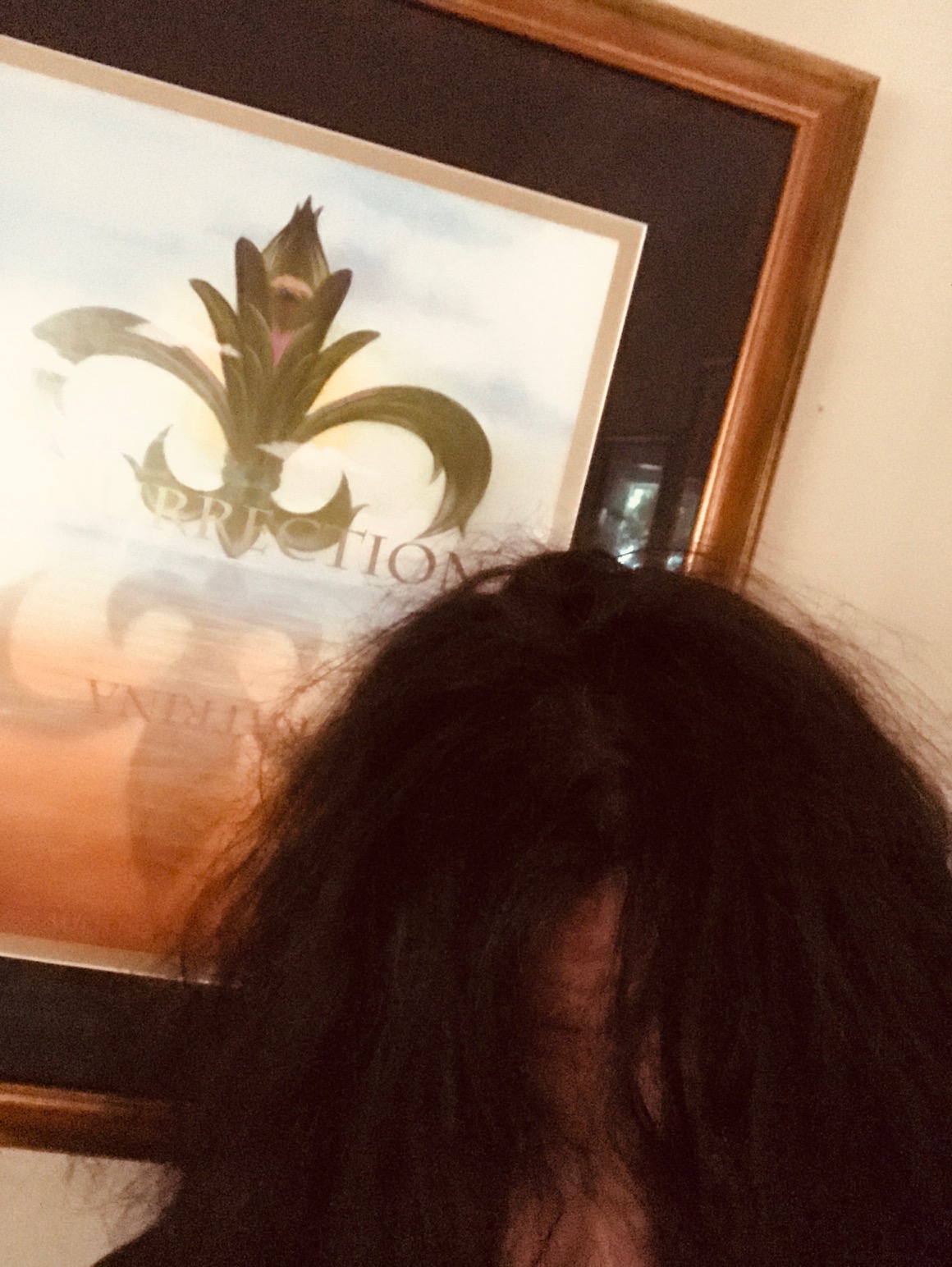 BIC BLOG 4/6/19