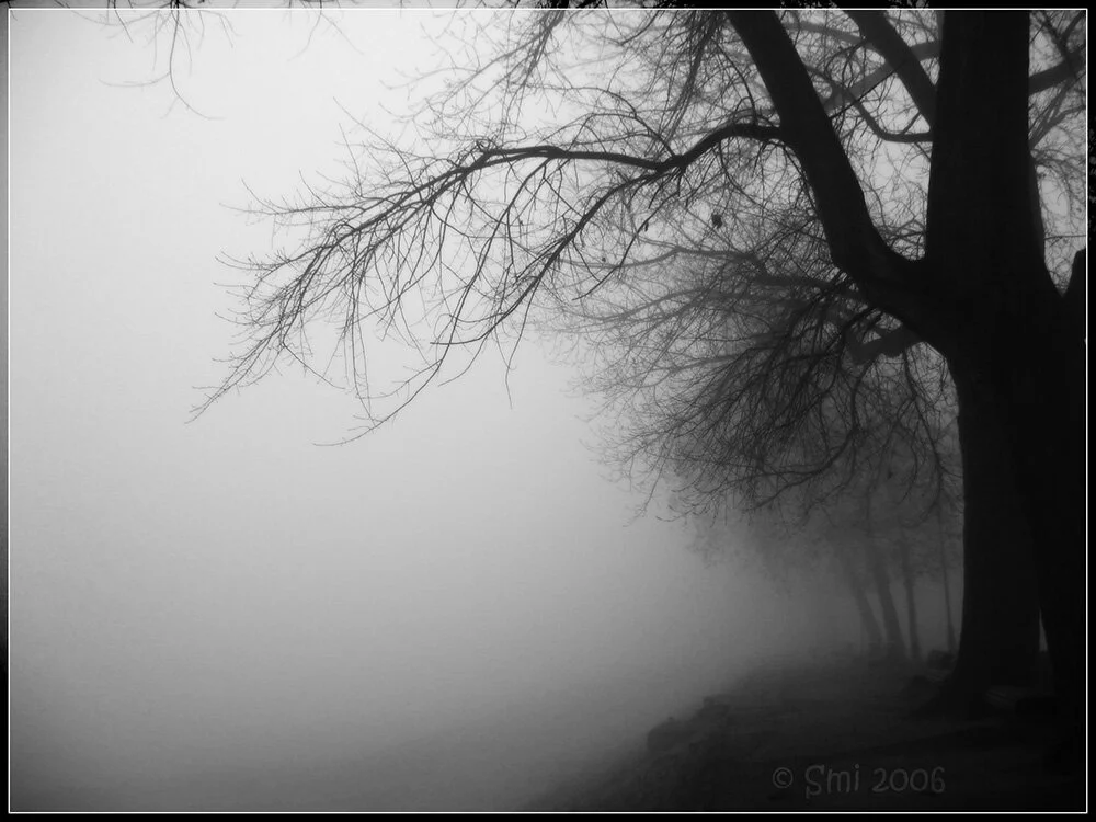 MONDAY Q&amp;A 12/23/19