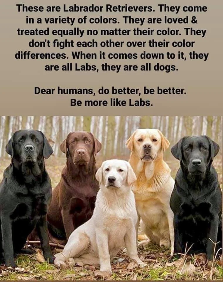 #TRUTH