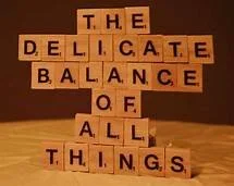 BIC FLASHBACK #9 - 'The Delicate Balance Of All Things' ft. Wayne Hussey