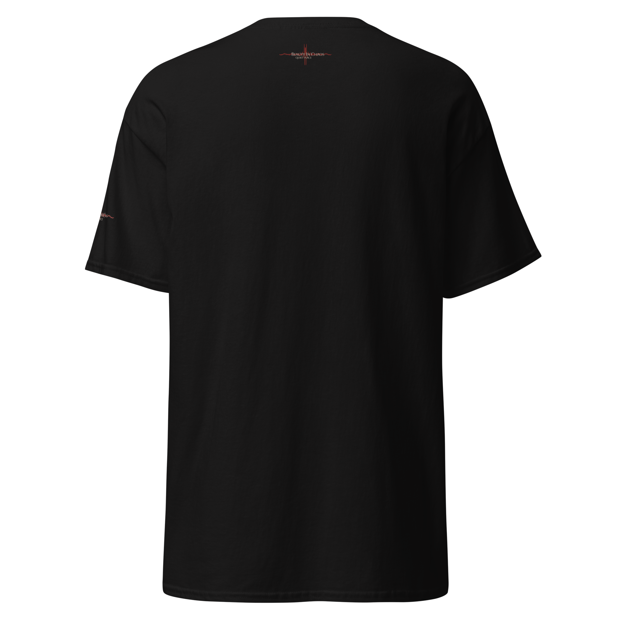 unisex-classic-tee-black-back-6ab7a0ac17a8a.png