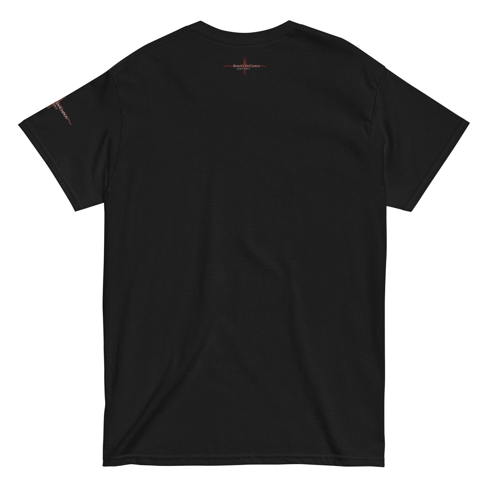 unisex-classic-tee-black-back-6ab7a0ac189af.png