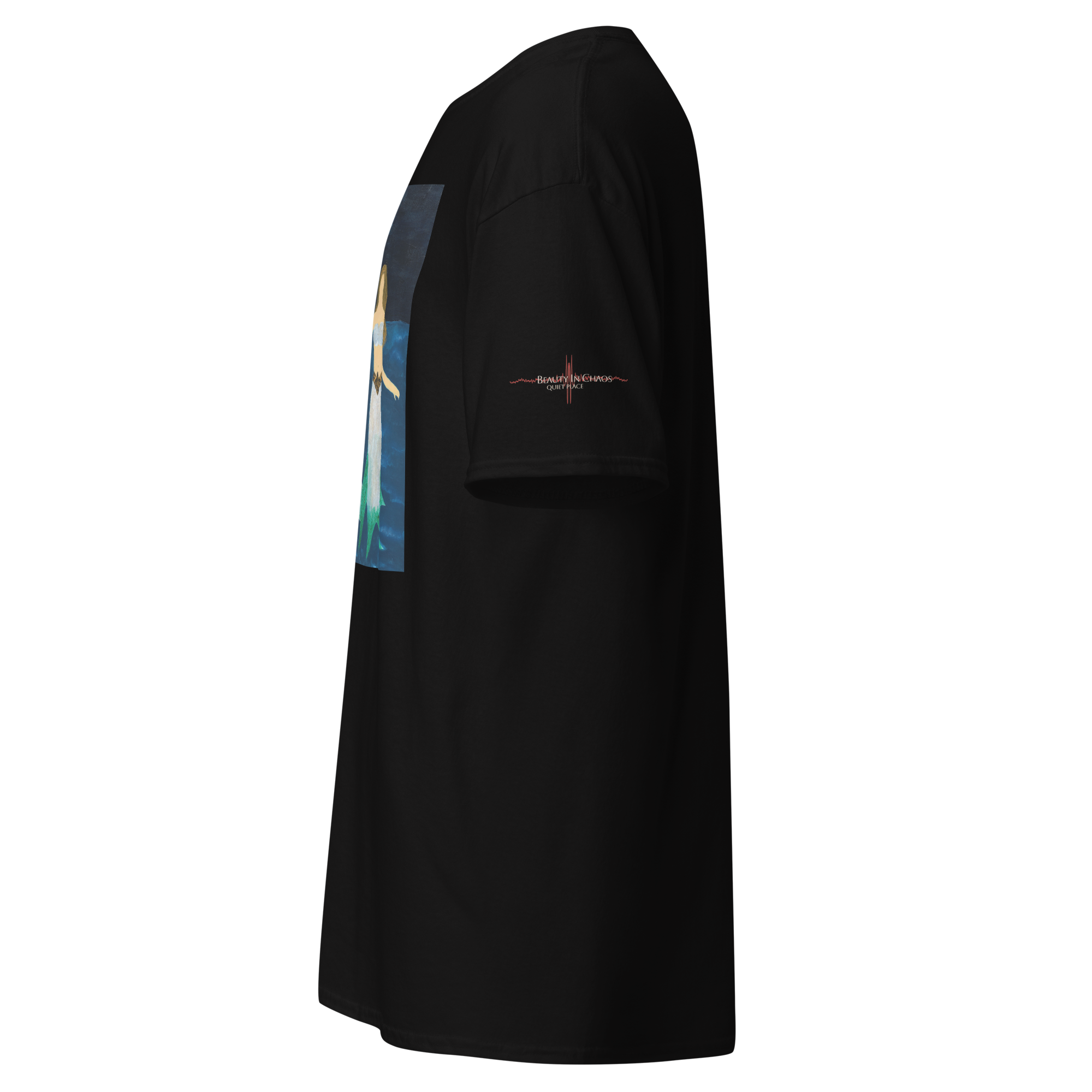 unisex-classic-tee-black-left-6ab7a0ac17dfa.png