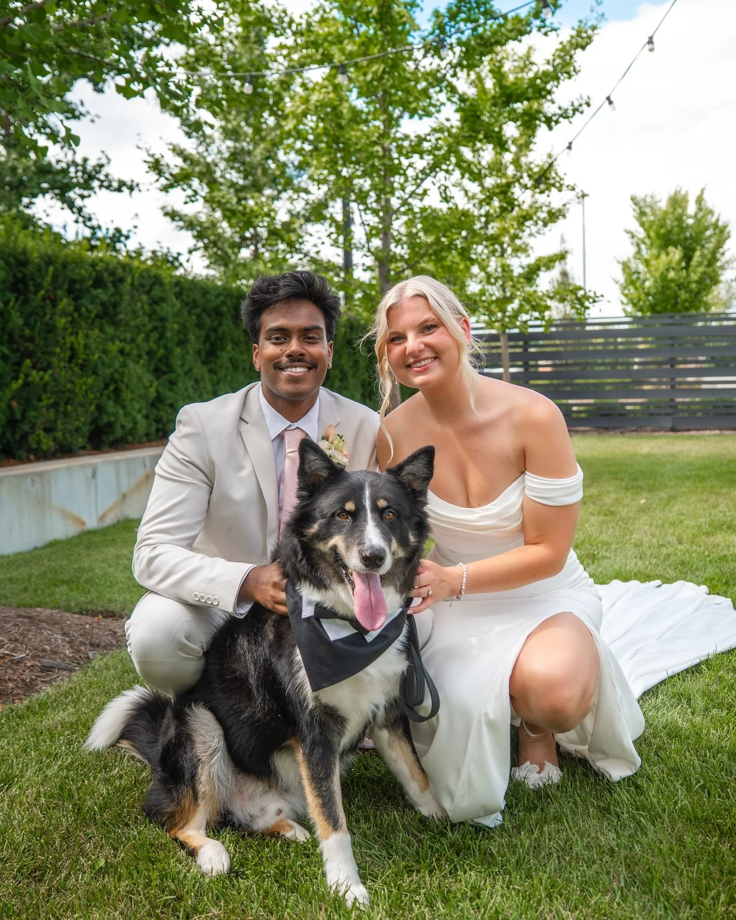 Had the most incredible day with Michael and Taylor last weekend! (And Milo of course 🐕) Perfect weather, beautiful venue, an incredible first look at @newfieldstoday , and more bubbles than I&rsquo;ve ever seen in my life at the send off. 🫧

Venue