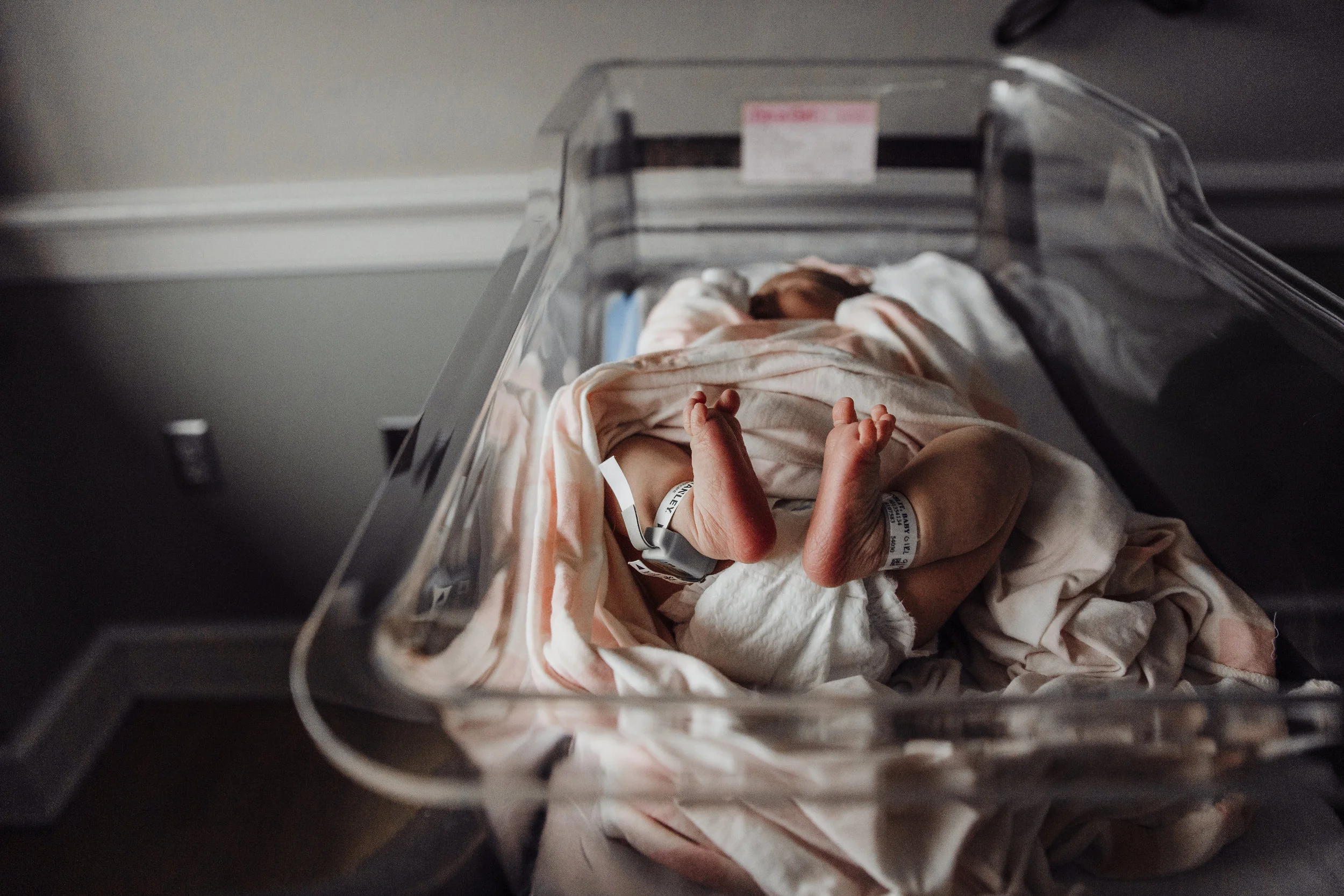 allie wilson photography nj new jersey newborn lifestyle fresh 48 photographer