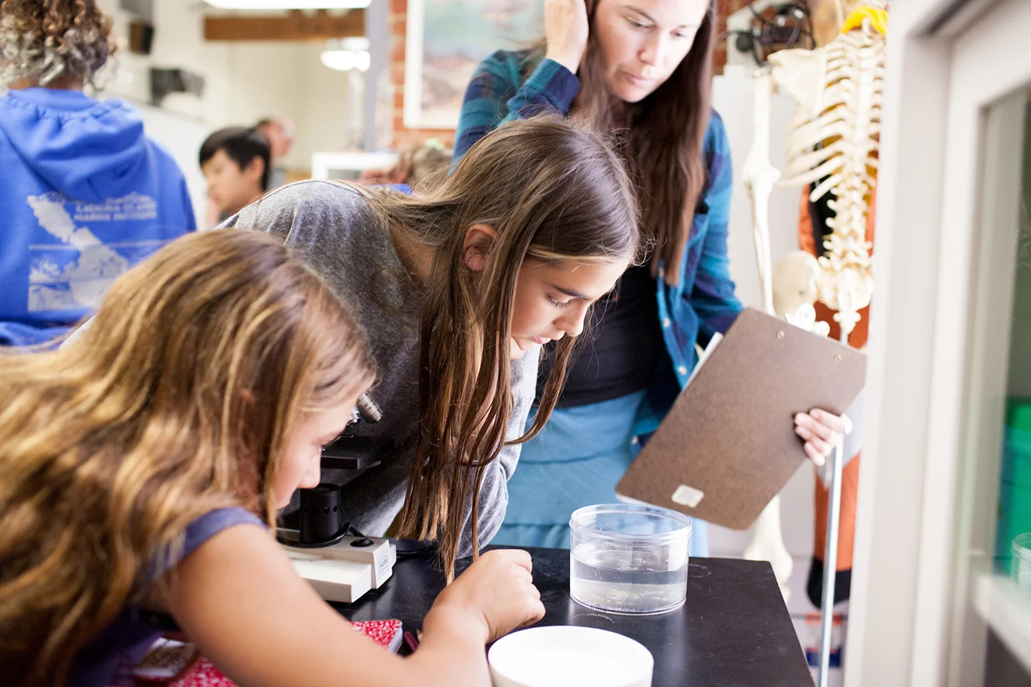 Walden School — Pasadena Area Independent Schools