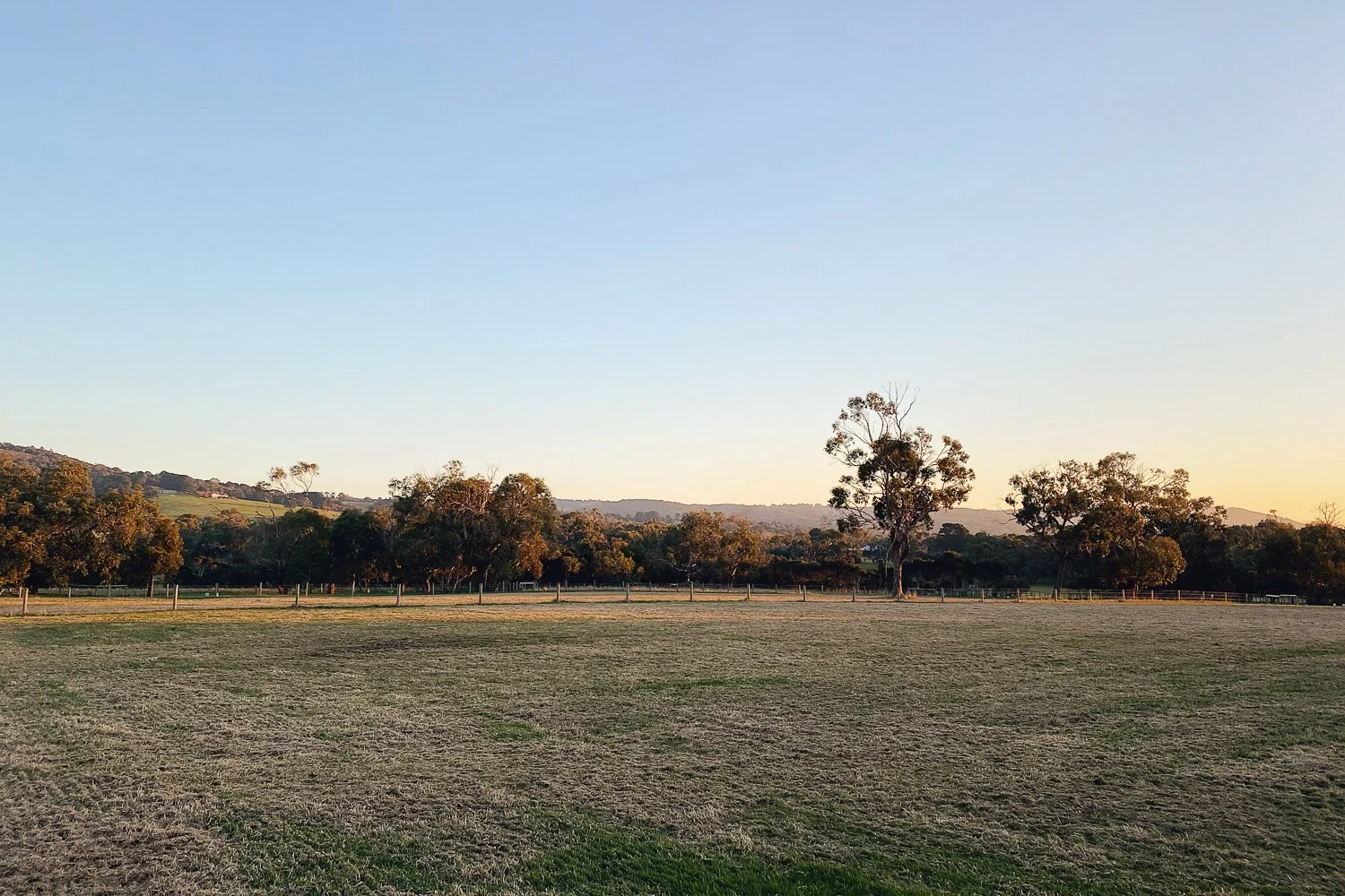 The Farm