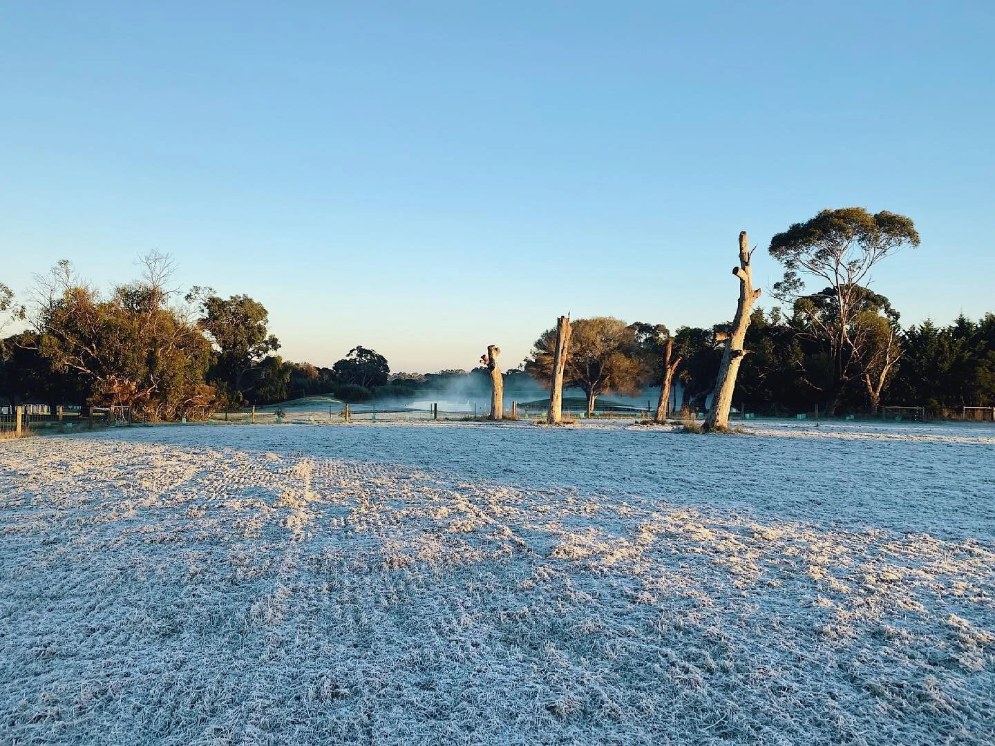 Something truly beautiful happened on the farm this morning ⛄️🙌🏼
.
.
.
.
.
.
.
@birchcreek_cottage
#🐐#dromana #morningtonpeninsula #mornpen #lovethepen #theninch #officialmorningtonpeninsula #farming #farmlife #aussieag #agricultureaustralia #vani
