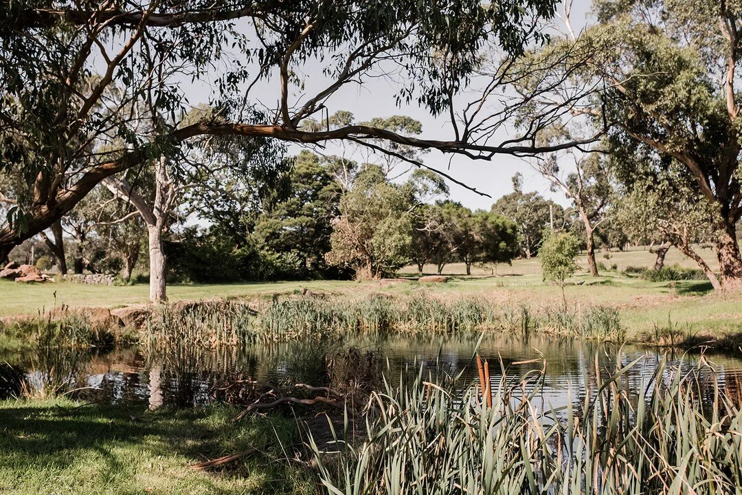 Australiana picnic spot right here by the dam amongst gum trees and swaying reeds.⠀⠀⠀⠀⠀⠀
.
.
.⠀
.
Photo by @karamarieriley⠀⠀⠀⠀⠀⠀⠀⠀⠀
#fjacres #morningtonpeninsula #lovethepen #theninch #farmstayaustralia  #slowliving #mornpen #visitmorningtonpeninsula