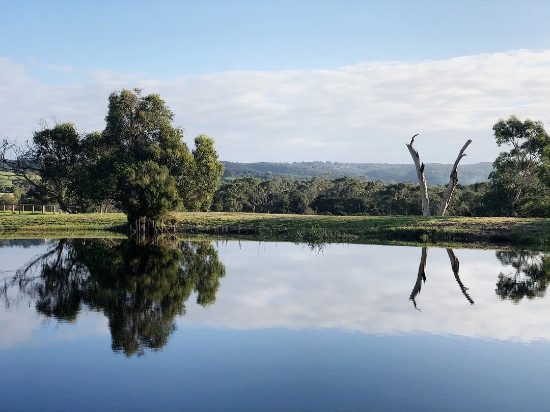 A little moment of paradise.⠀⠀⠀⠀⠀⠀⠀⠀⠀
.⠀⠀⠀⠀⠀⠀⠀⠀⠀
.⠀⠀⠀⠀⠀⠀⠀⠀⠀
.⠀⠀⠀⠀⠀⠀⠀⠀⠀
.⠀⠀⠀⠀⠀⠀⠀⠀⠀
Photo by @nickfound⠀⠀⠀⠀⠀⠀⠀⠀⠀
#fjacres #findyourwaymorningtonpeninsula #morningtonpeninsula #lovethepen #theninch #farmstayaustralia  #slowliving #mornpen #visitmorningt