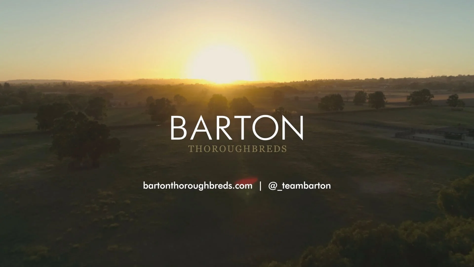 Barton Thoroughbreds