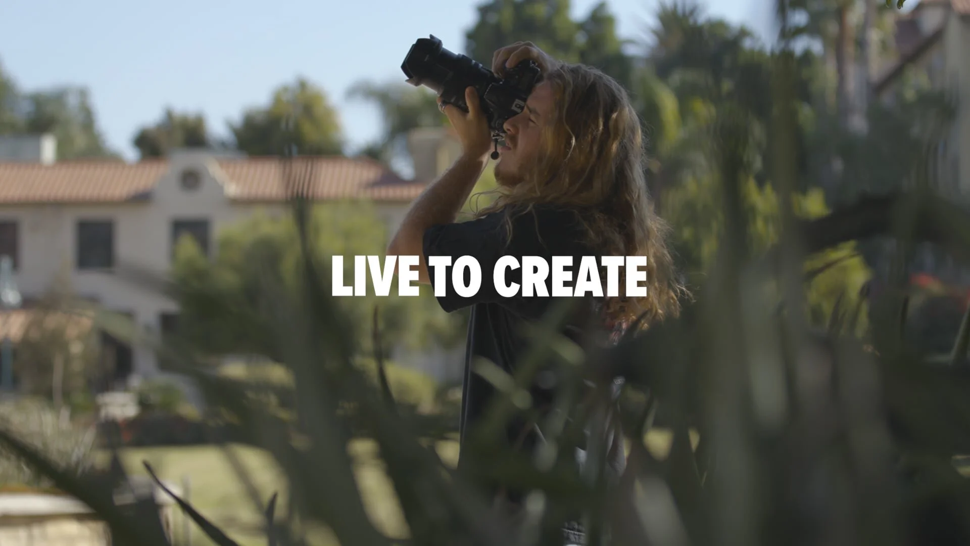 David Ardill - Live to Create