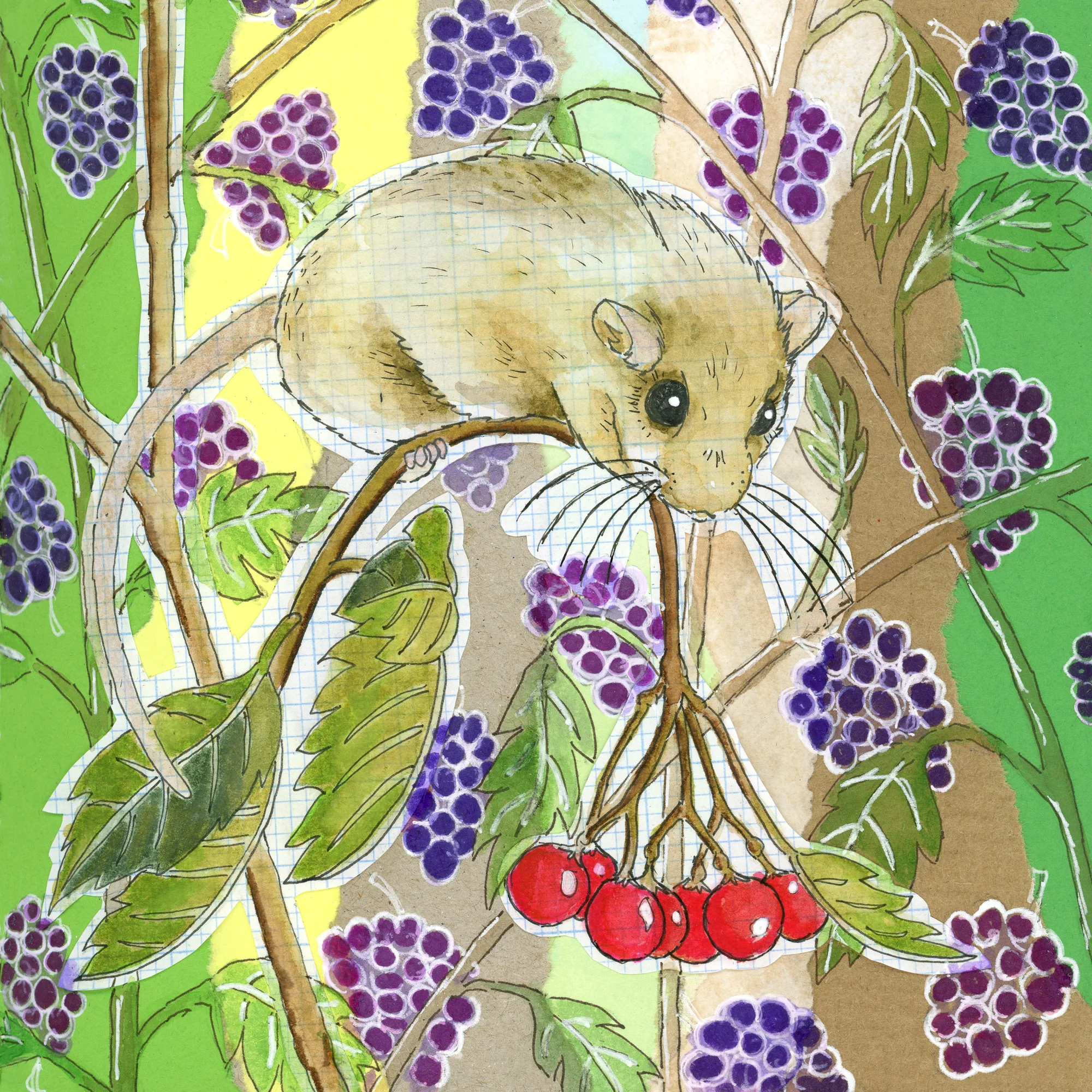 FieldMouseCollageWeb.jpg