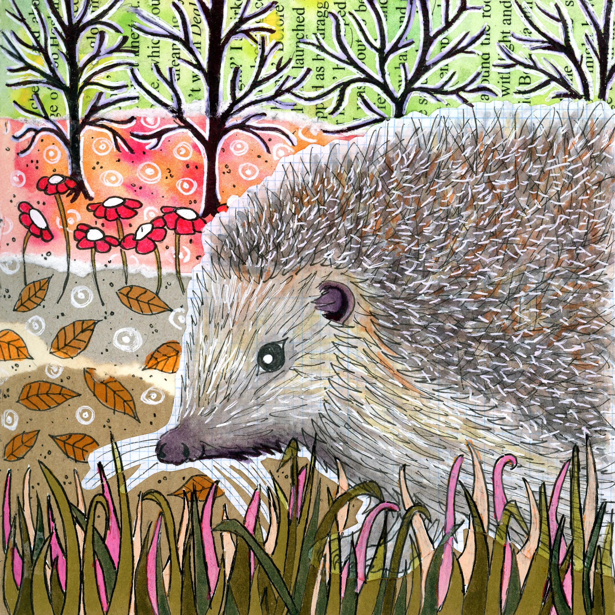 HedgehogCollageWeb.jpg