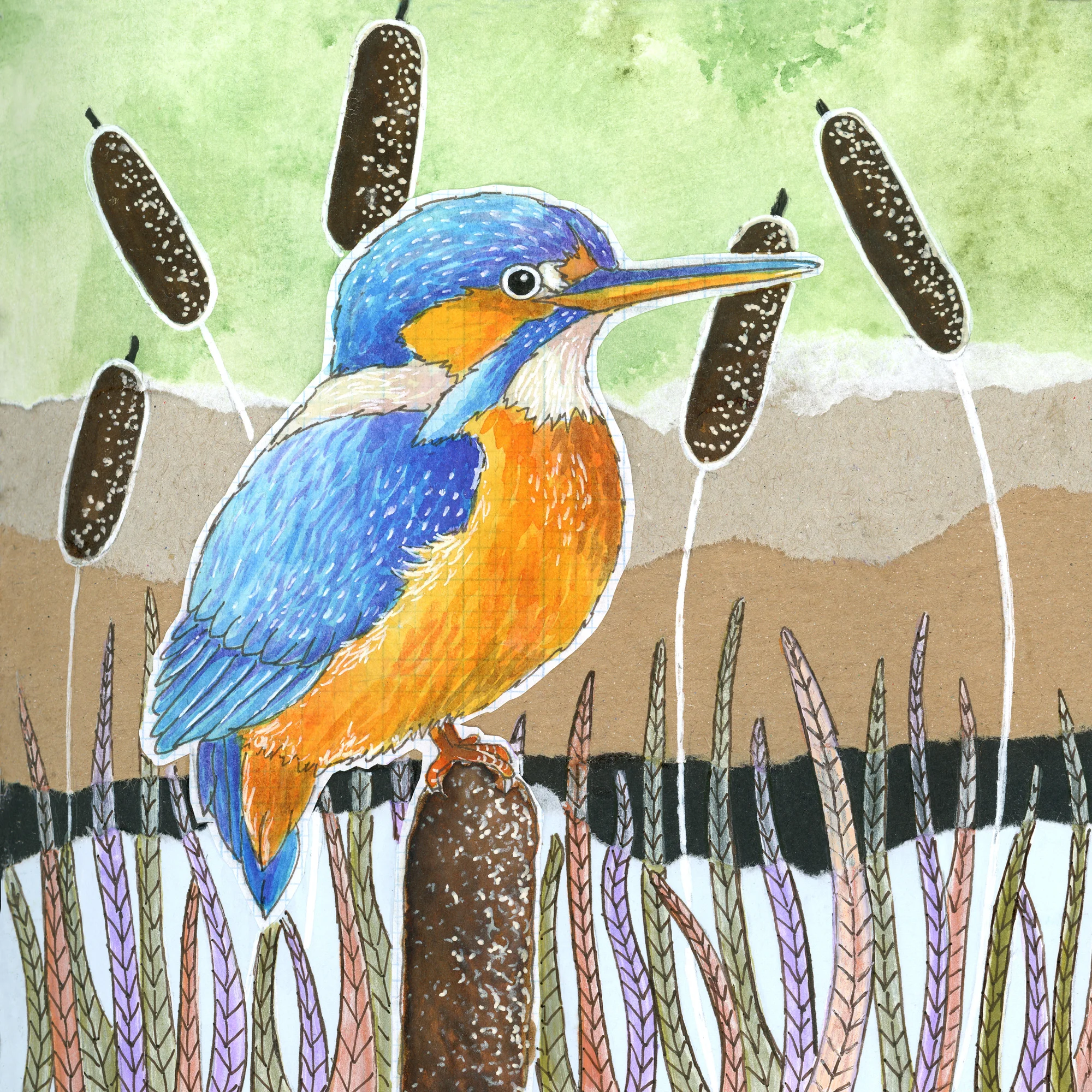 KingfisherCollageWeb.jpg