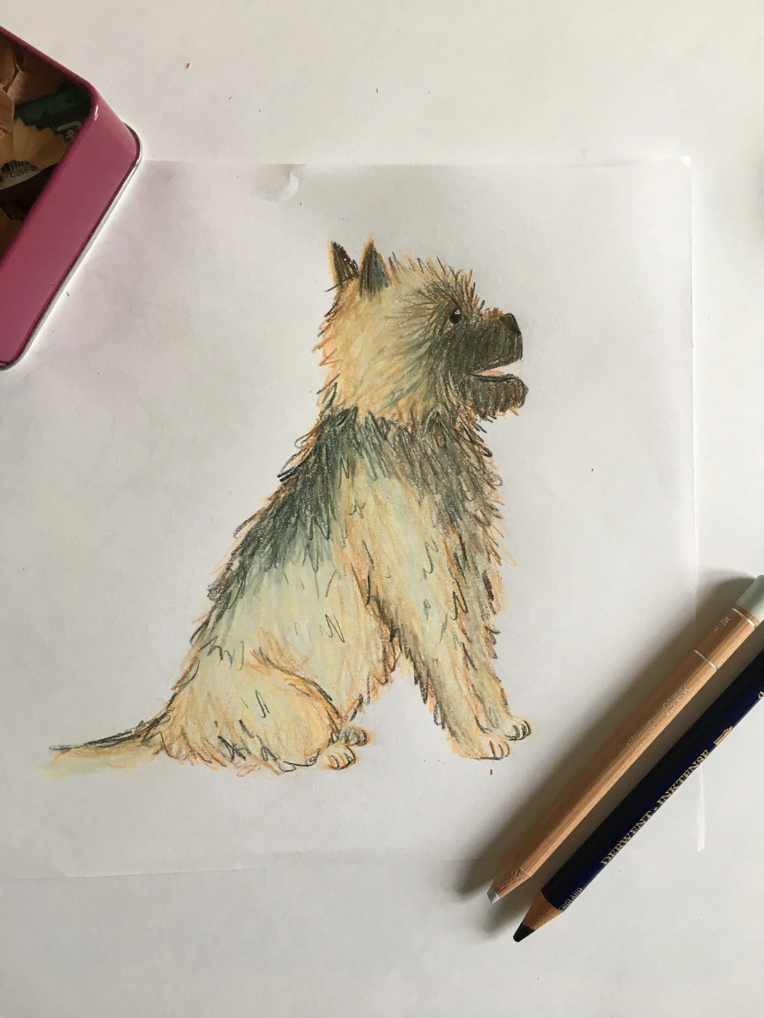 CairnTerrier2.jpg