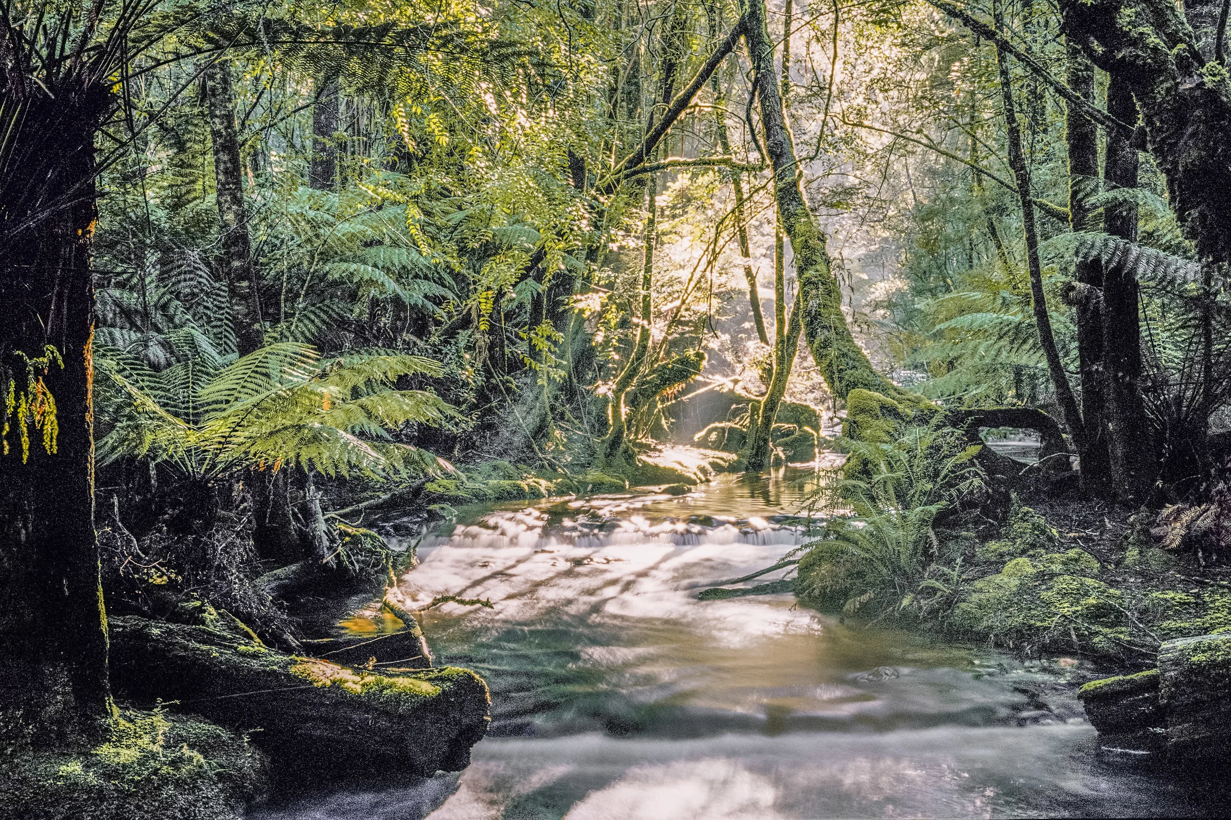 printable falls 2.jpg