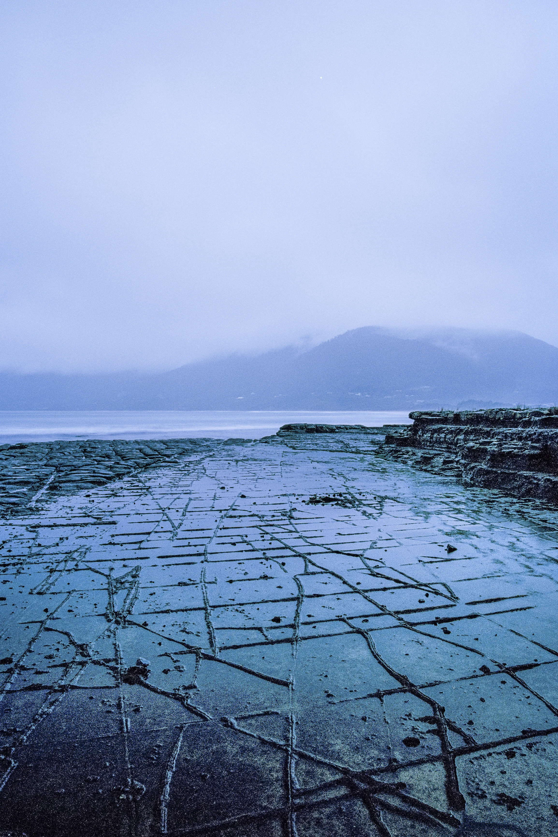 printable tesselated pavement.jpg