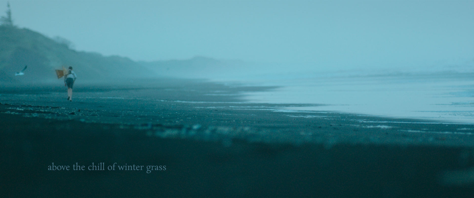 sparrow_stills_0001109.jpg