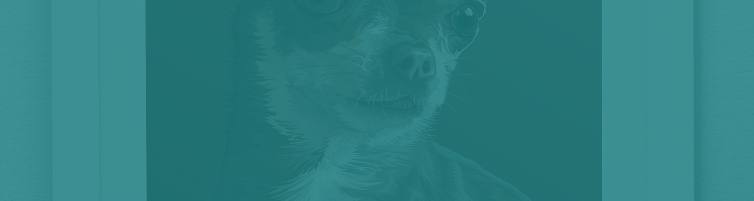 Portraits Banner.jpg